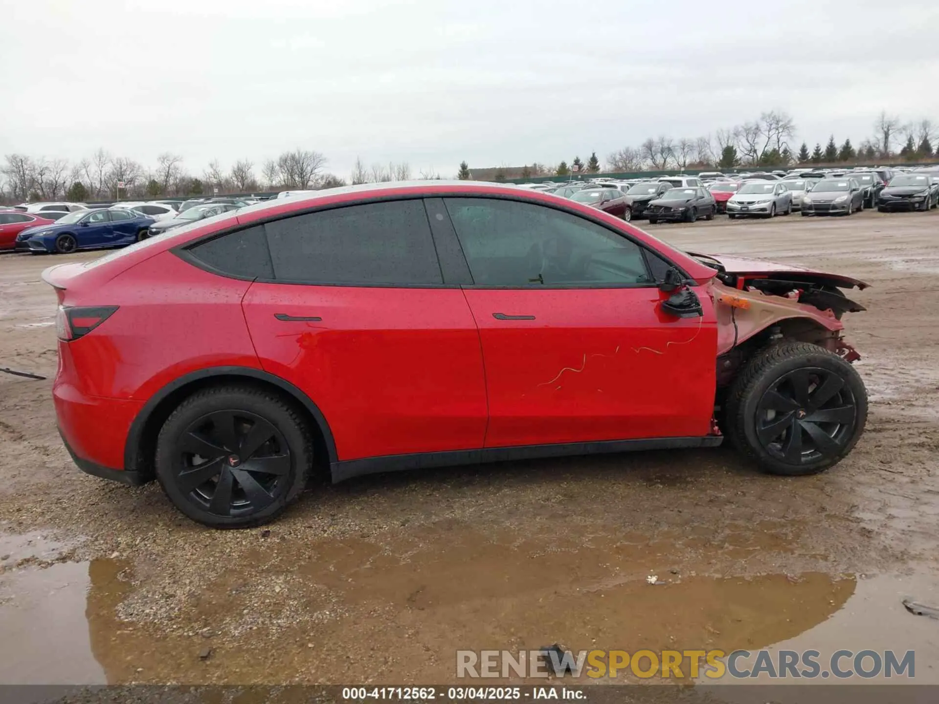13 Фотография поврежденного автомобиля 5YJYGDEE3MF204941 TESLA MODEL Y 2021