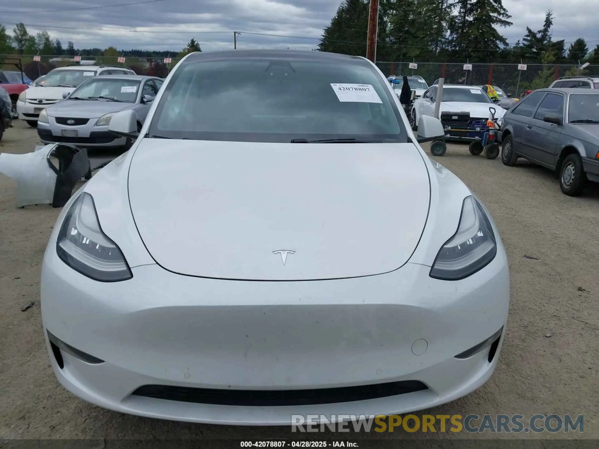 13 Фотография поврежденного автомобиля 5YJYGDEE6MF082883 TESLA MODEL Y 2021