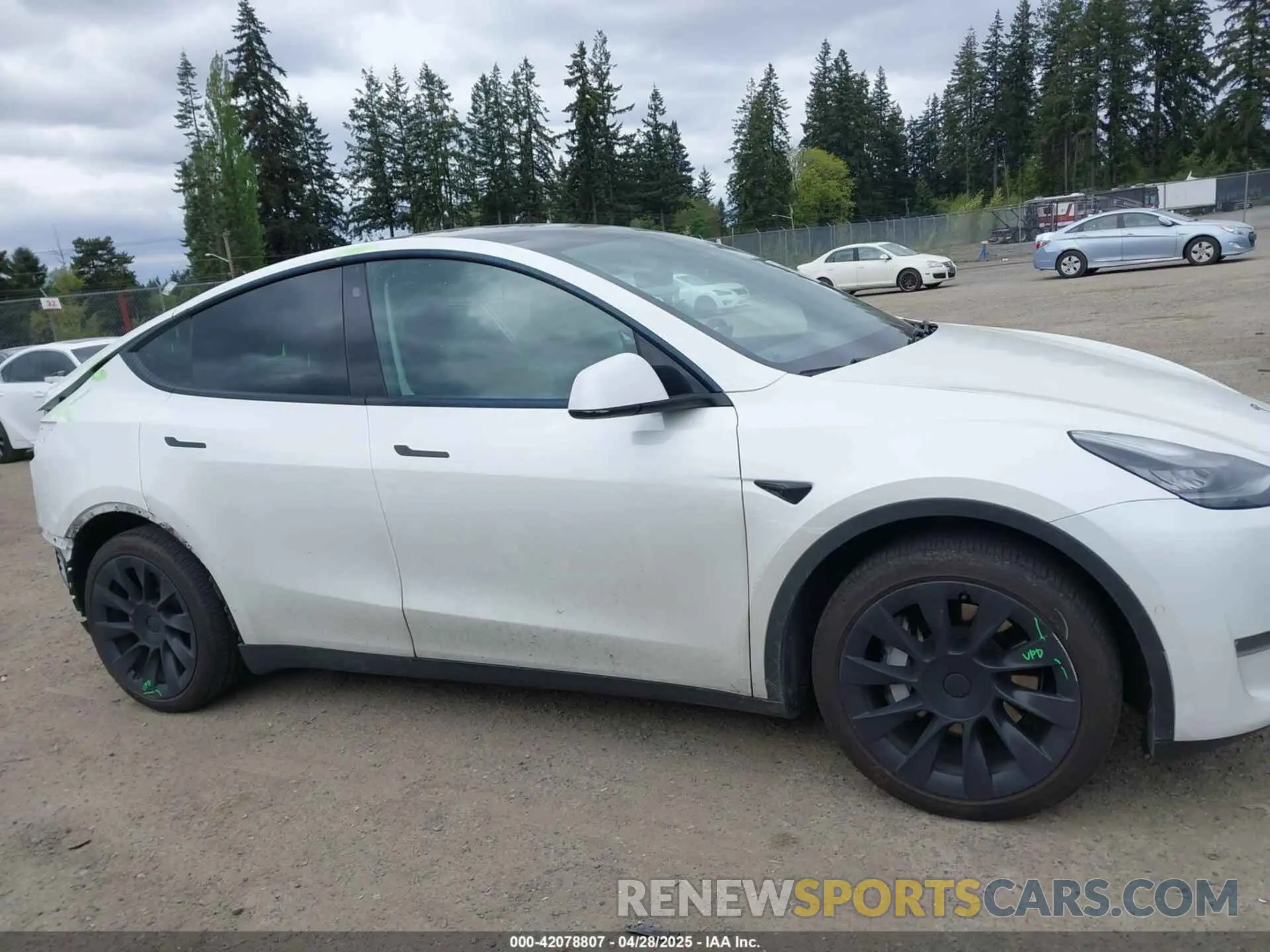 14 Фотография поврежденного автомобиля 5YJYGDEE6MF082883 TESLA MODEL Y 2021