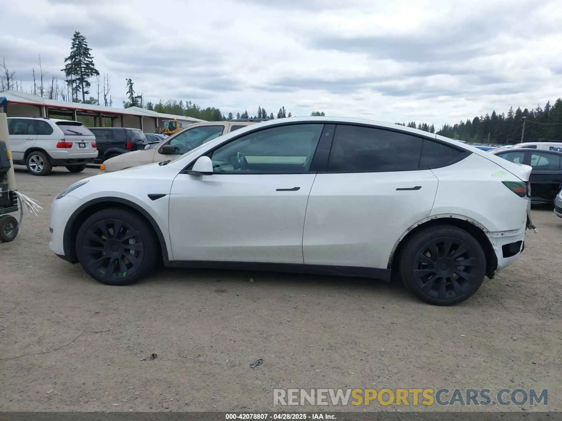 15 Фотография поврежденного автомобиля 5YJYGDEE6MF082883 TESLA MODEL Y 2021