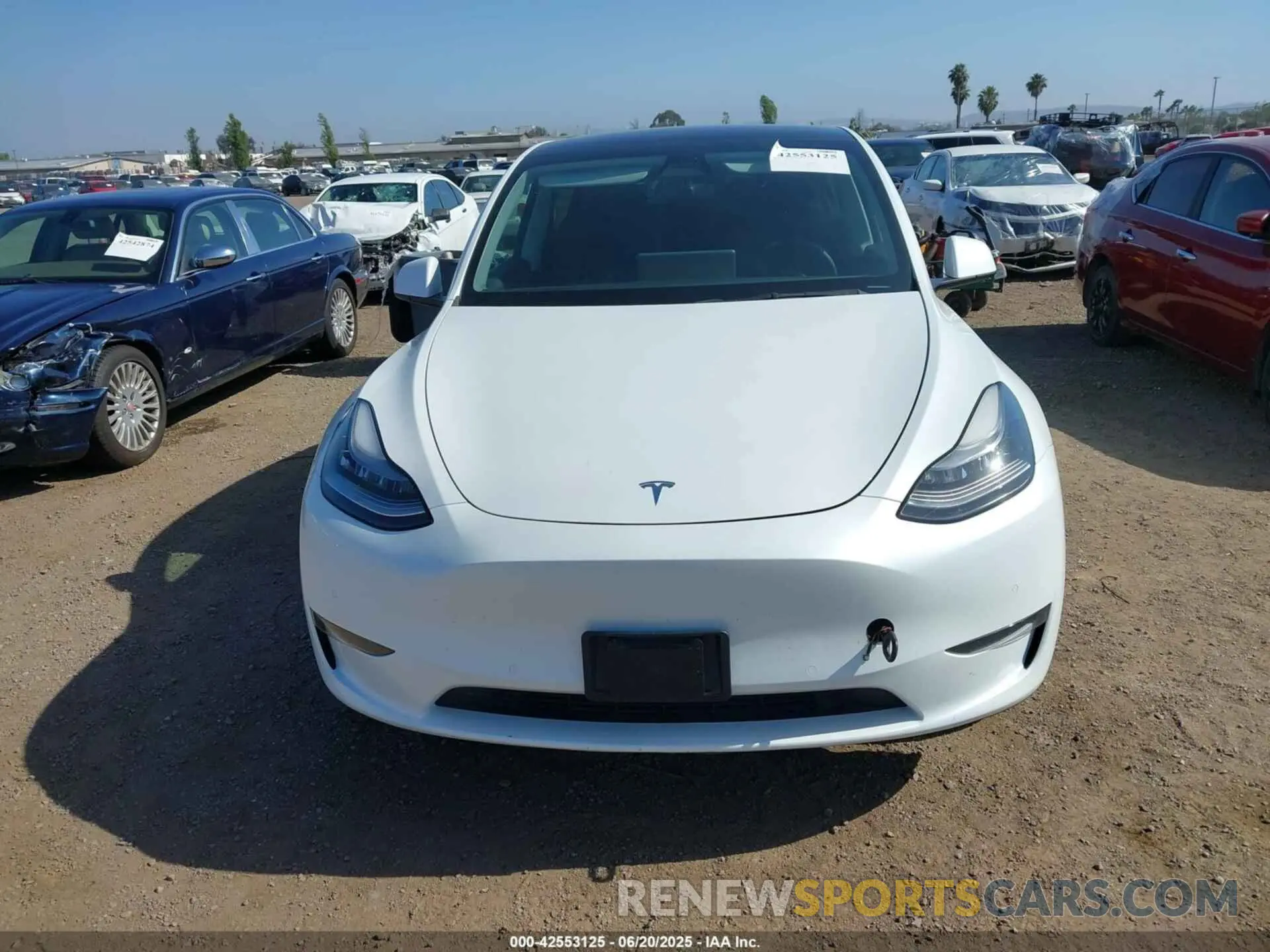 12 Фотография поврежденного автомобиля 5YJYGDEE7MF085758 TESLA MODEL Y 2021
