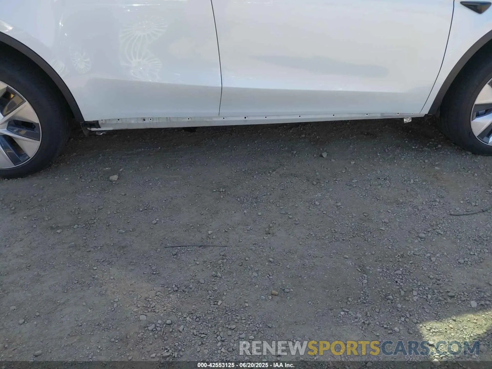 6 Фотография поврежденного автомобиля 5YJYGDEE7MF085758 TESLA MODEL Y 2021