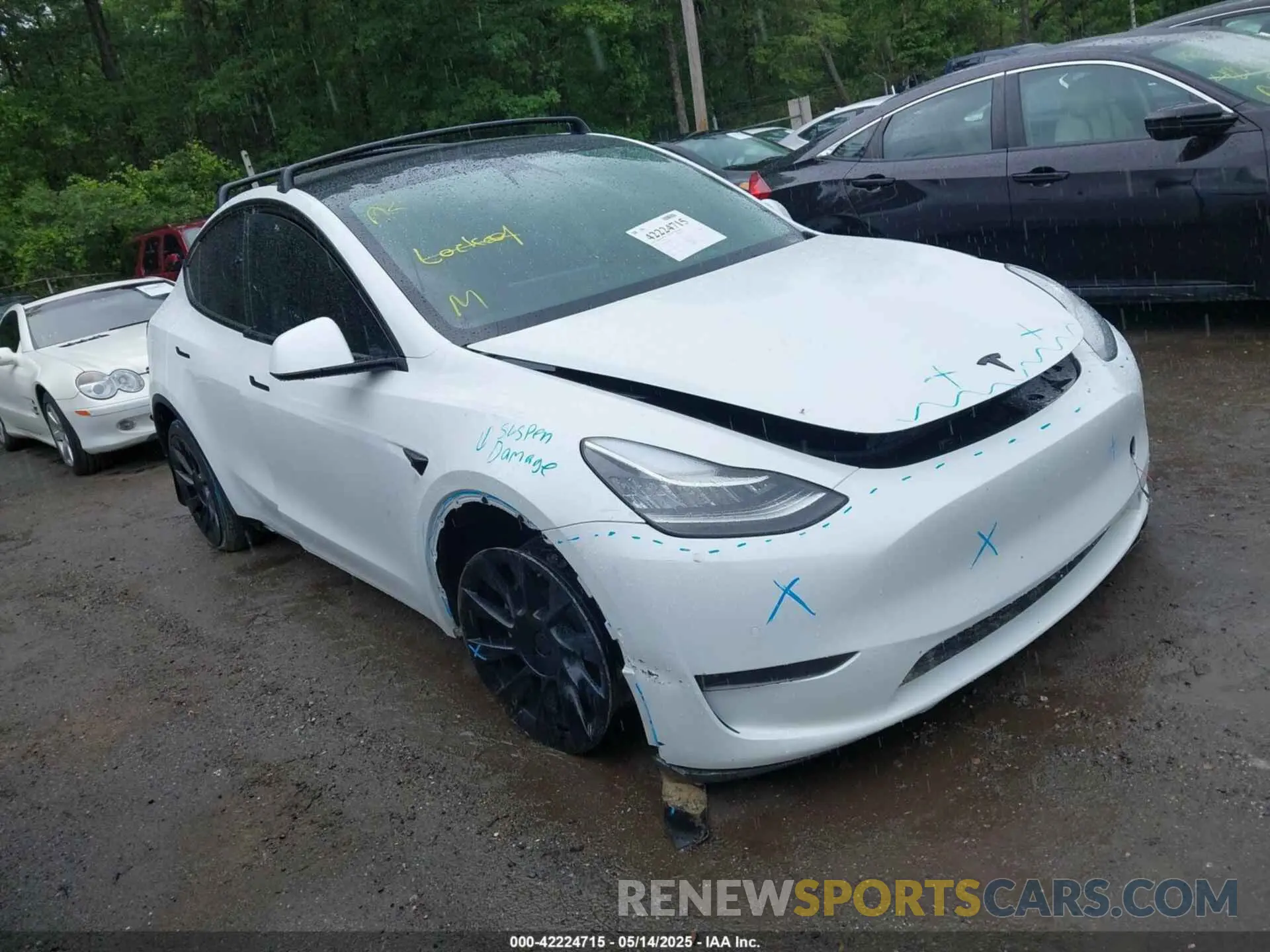 1 Фотография поврежденного автомобиля 5YJYGDEE7MF108245 TESLA MODEL Y 2021