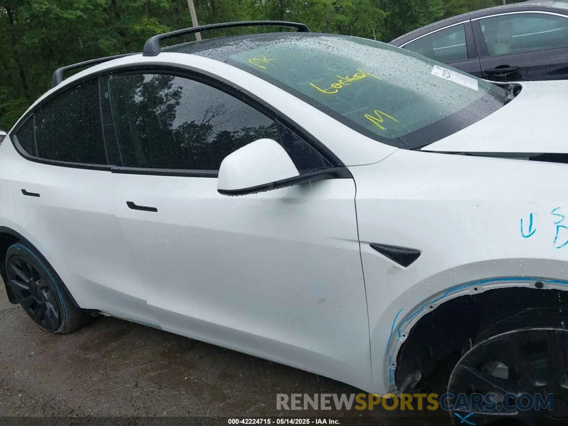 12 Фотография поврежденного автомобиля 5YJYGDEE7MF108245 TESLA MODEL Y 2021
