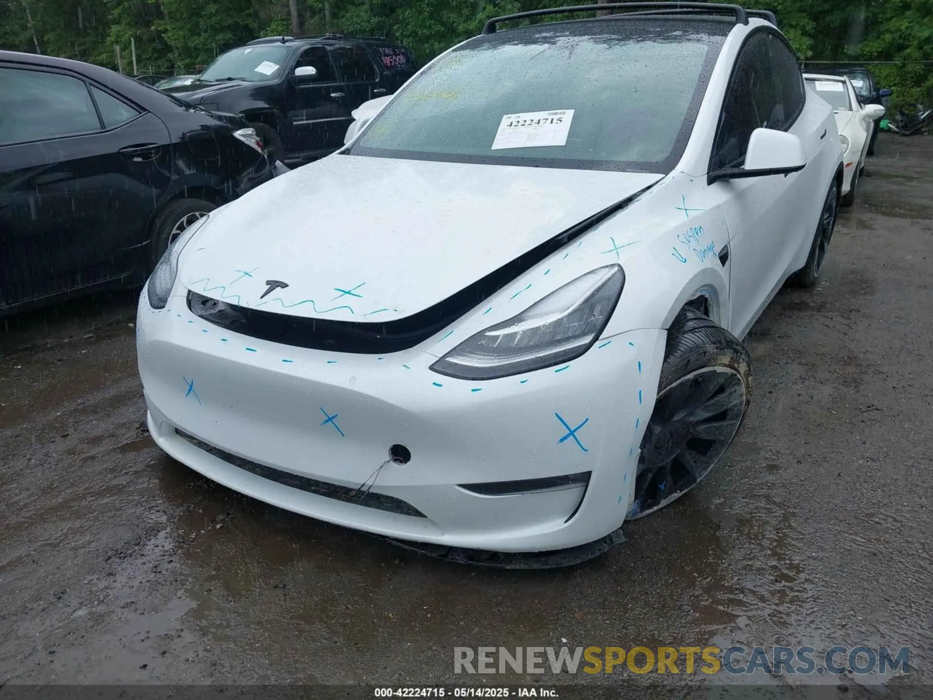 6 Фотография поврежденного автомобиля 5YJYGDEE7MF108245 TESLA MODEL Y 2021