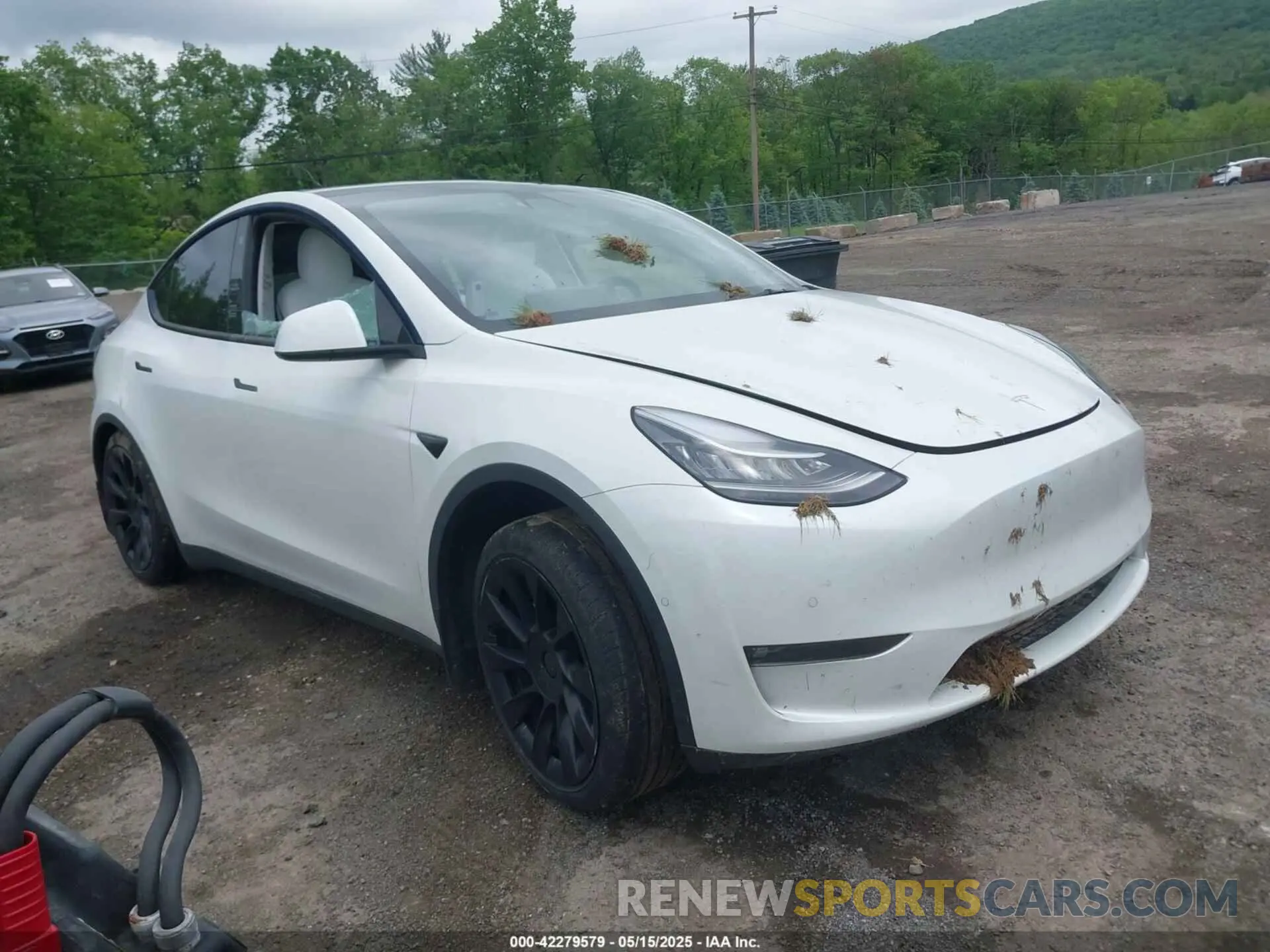 1 Фотография поврежденного автомобиля 5YJYGDEE8MF151699 TESLA MODEL Y 2021