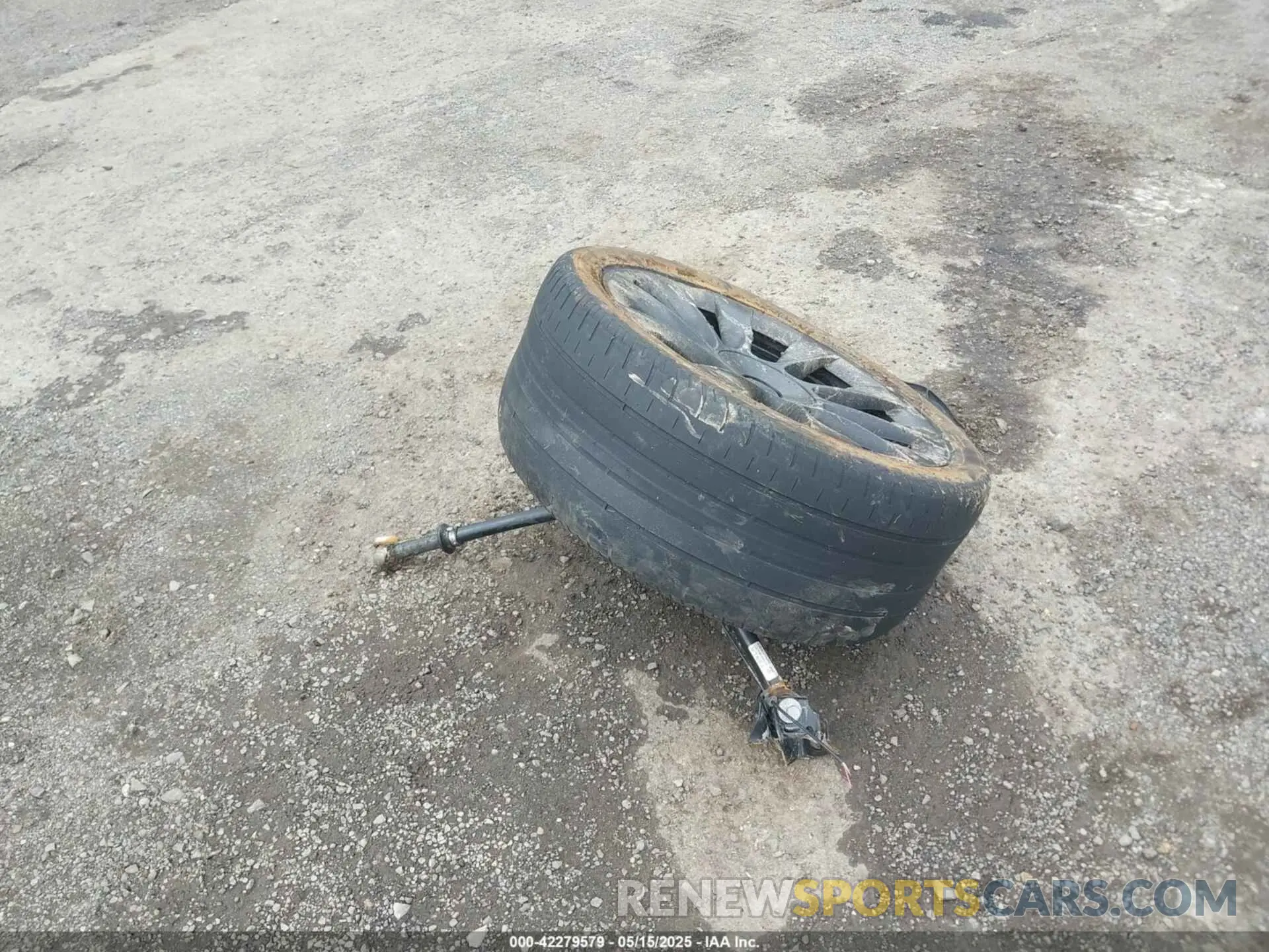 12 Фотография поврежденного автомобиля 5YJYGDEE8MF151699 TESLA MODEL Y 2021
