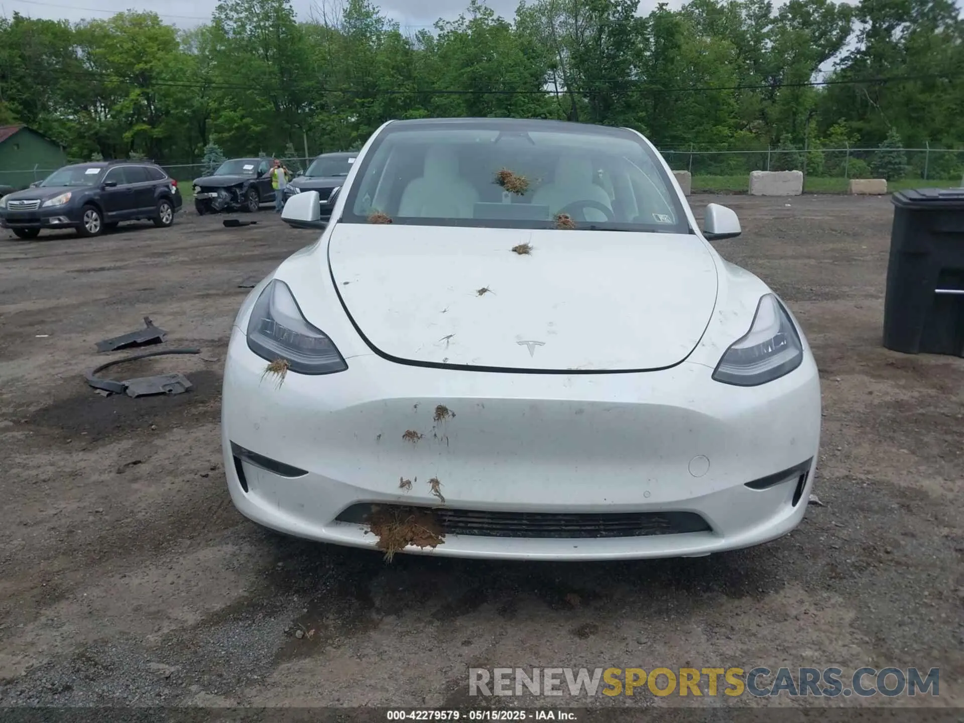 13 Фотография поврежденного автомобиля 5YJYGDEE8MF151699 TESLA MODEL Y 2021