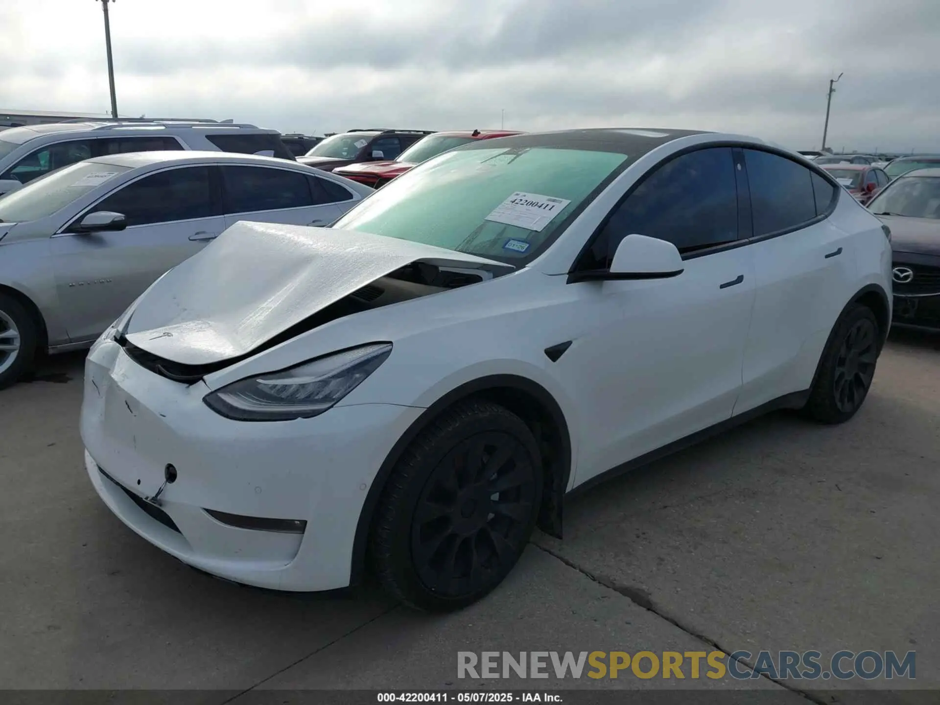 2 Фотография поврежденного автомобиля 5YJYGDEE8MF266075 TESLA MODEL Y 2021