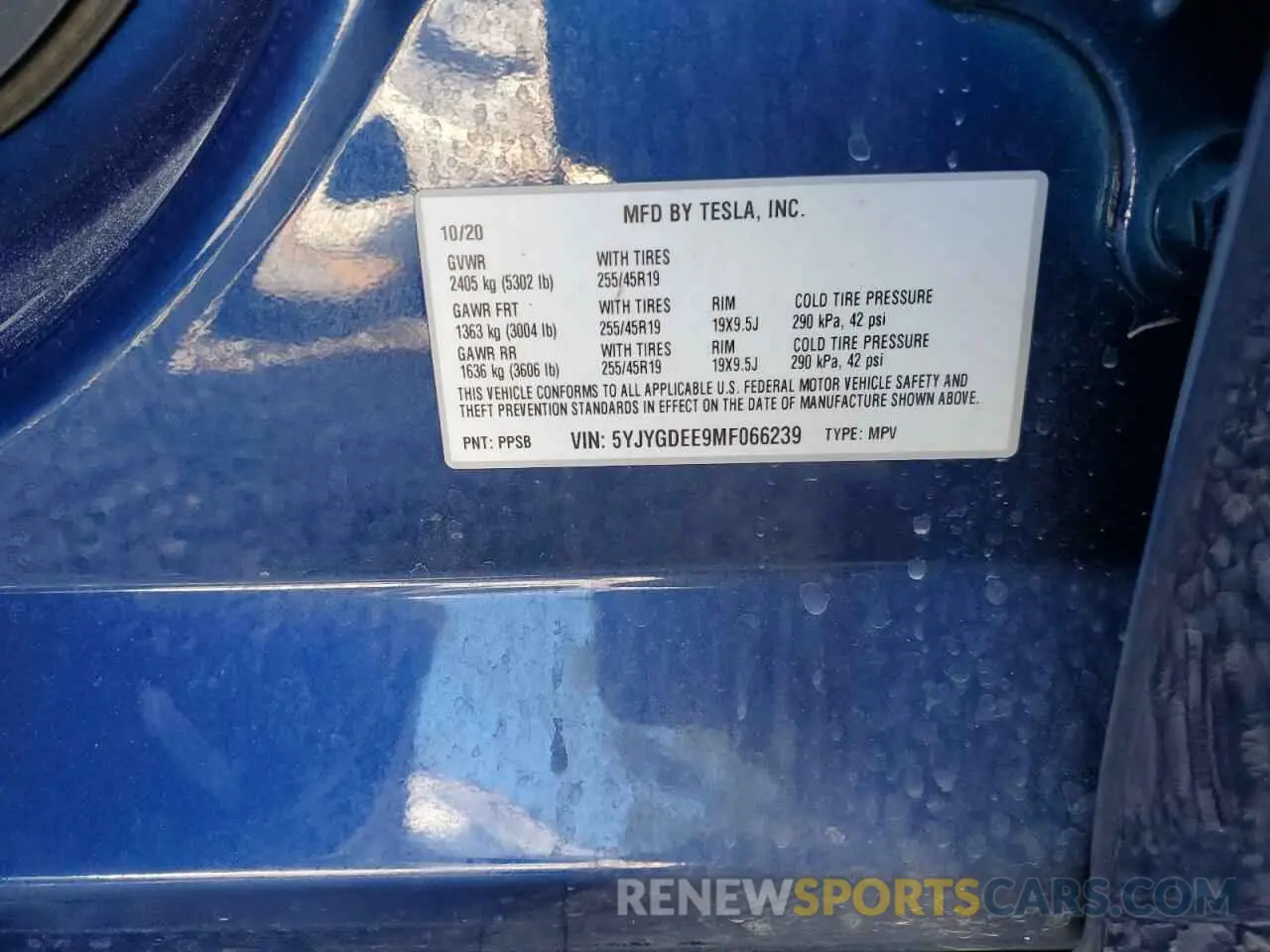 12 Photograph of a damaged car 5YJYGDEE9MF066239 TESLA MODEL Y 2021