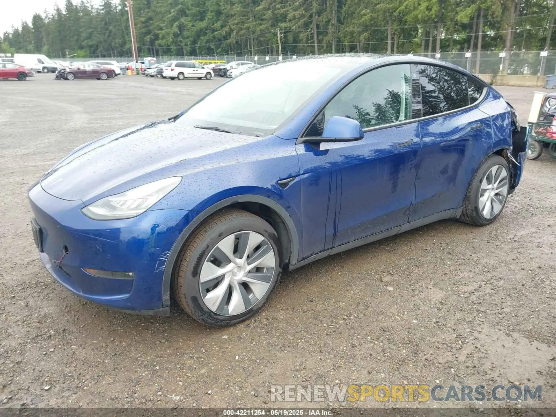 2 Photograph of a damaged car 5YJYGDEE9MF117500 TESLA MODEL Y 2021