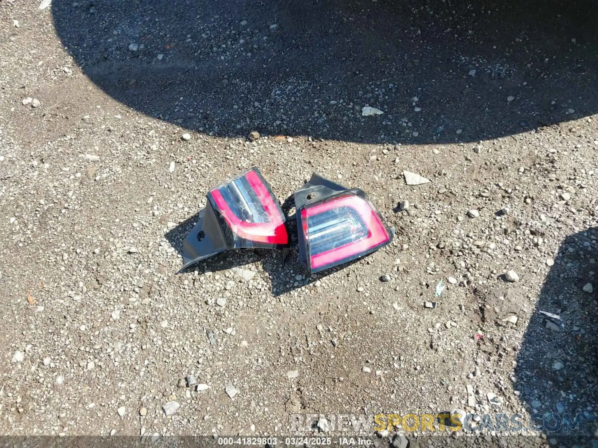 12 Photograph of a damaged car 5YJYGDEEXMF085530 TESLA MODEL Y 2021