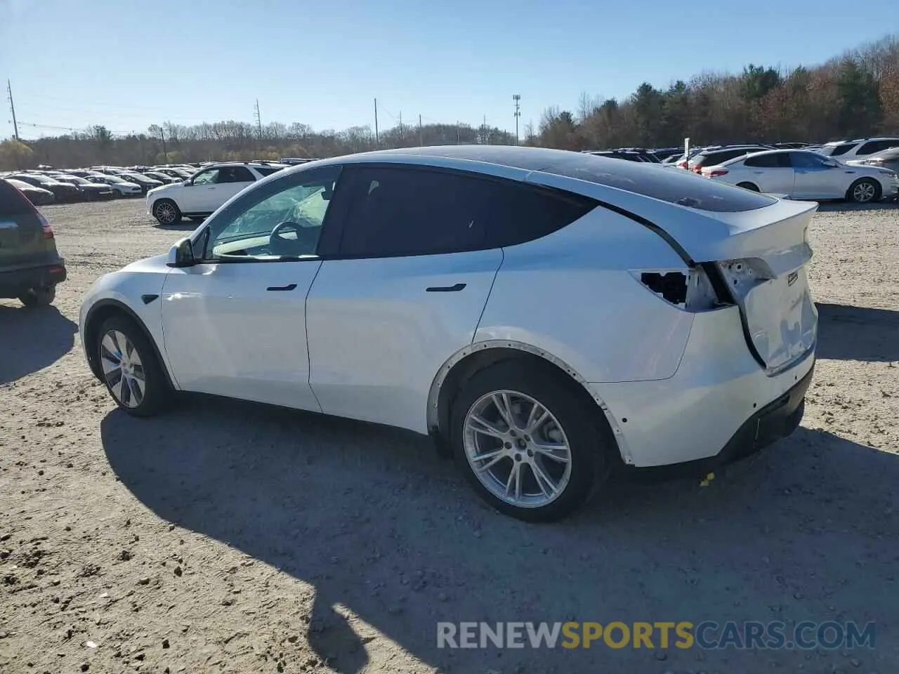 2 Photograph of a damaged car 5YJYGDEEXMF268491 TESLA MODEL Y 2021