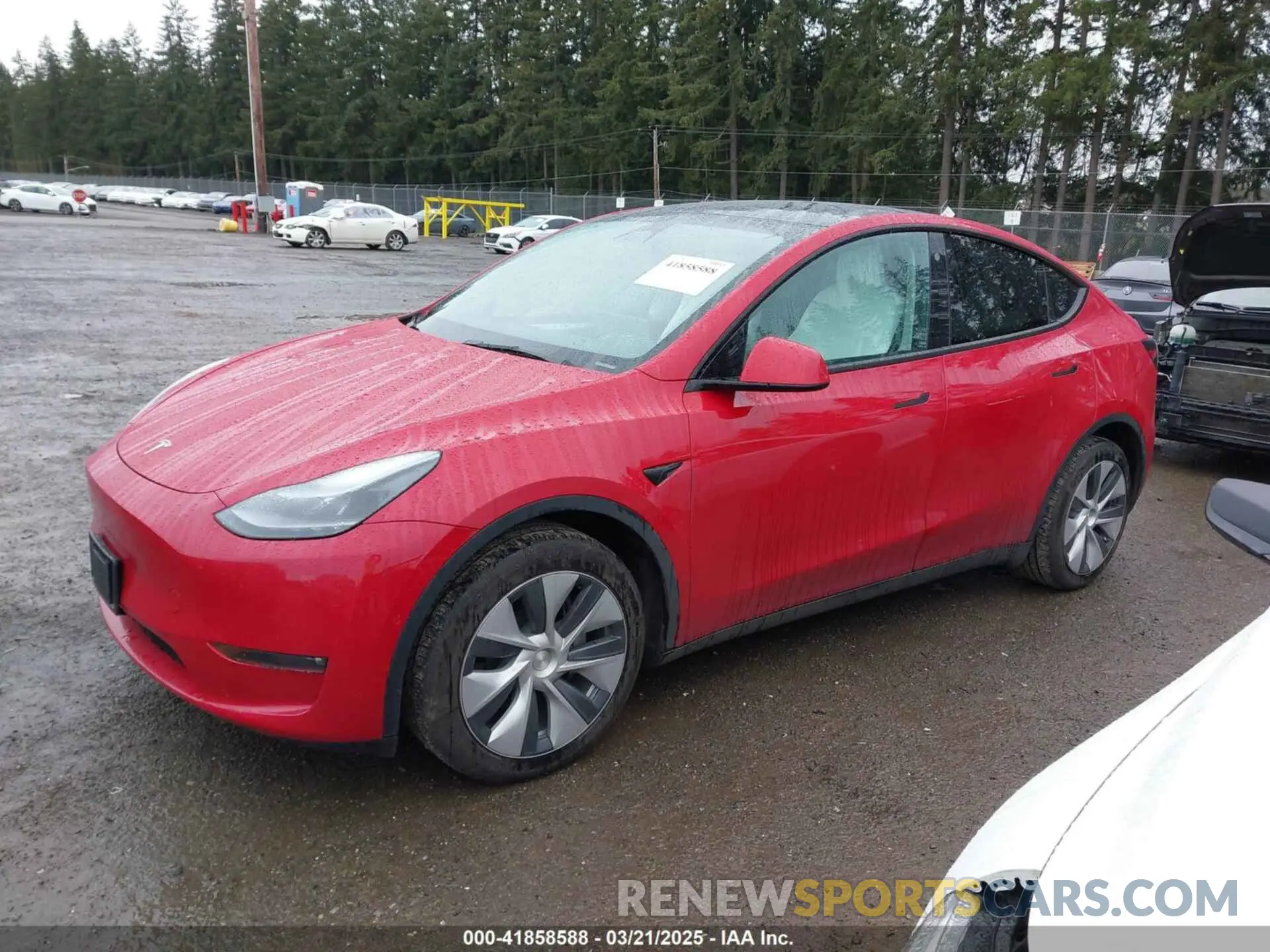 14 Photograph of a damaged car 7SAYGAEE6NF559332 TESLA MODEL Y 2022