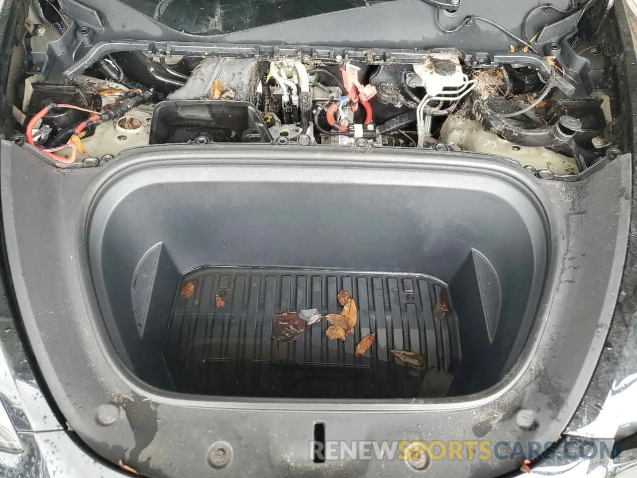 12 Photograph of a damaged car 7SAYGAEE7NF533208 TESLA MODEL Y 2022