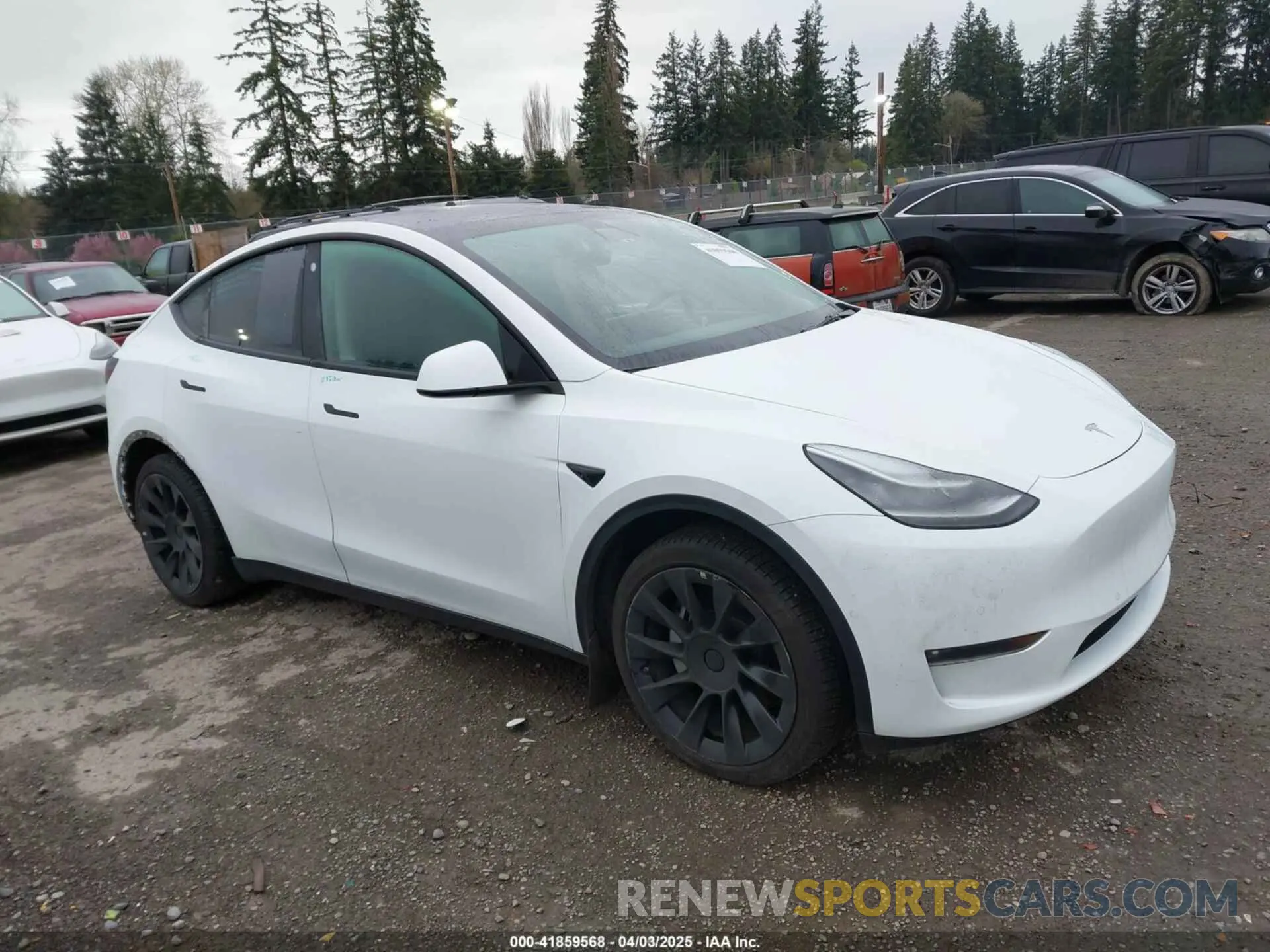 14 Photograph of a damaged car 7SAYGAEE9NF426631 TESLA MODEL Y 2022