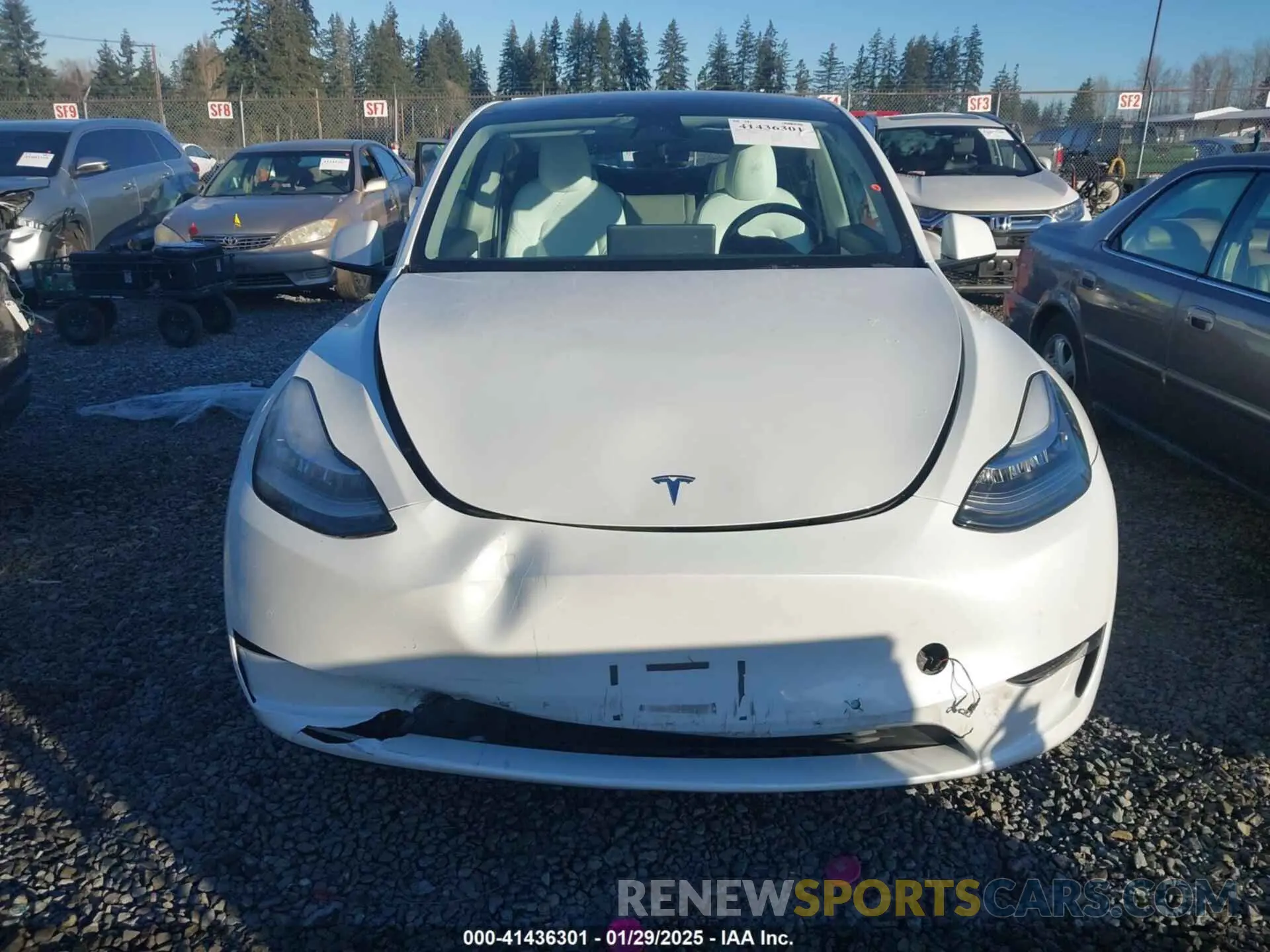 11 Photograph of a damaged car 7SAYGDEE0NF440810 TESLA MODEL Y 2022