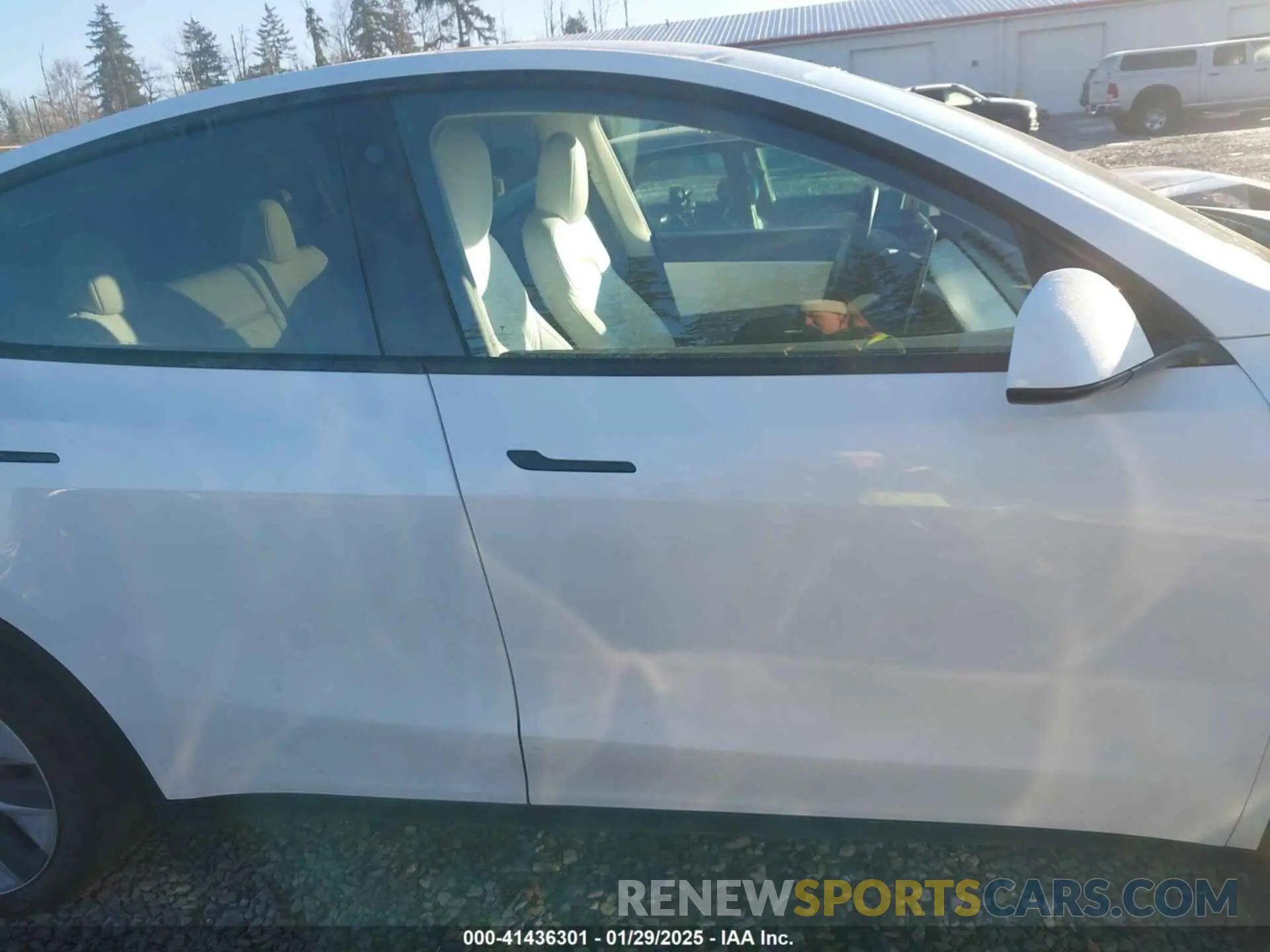 12 Photograph of a damaged car 7SAYGDEE0NF440810 TESLA MODEL Y 2022