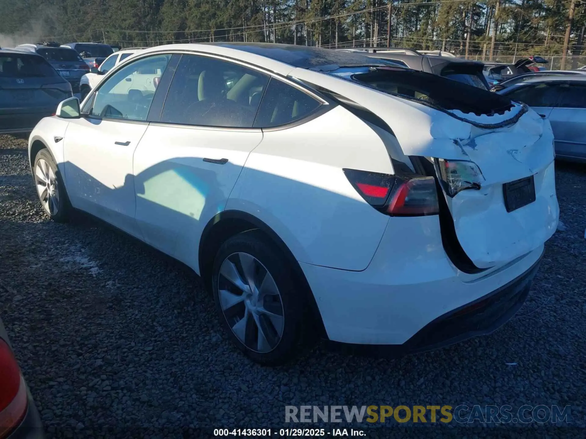 3 Photograph of a damaged car 7SAYGDEE0NF440810 TESLA MODEL Y 2022