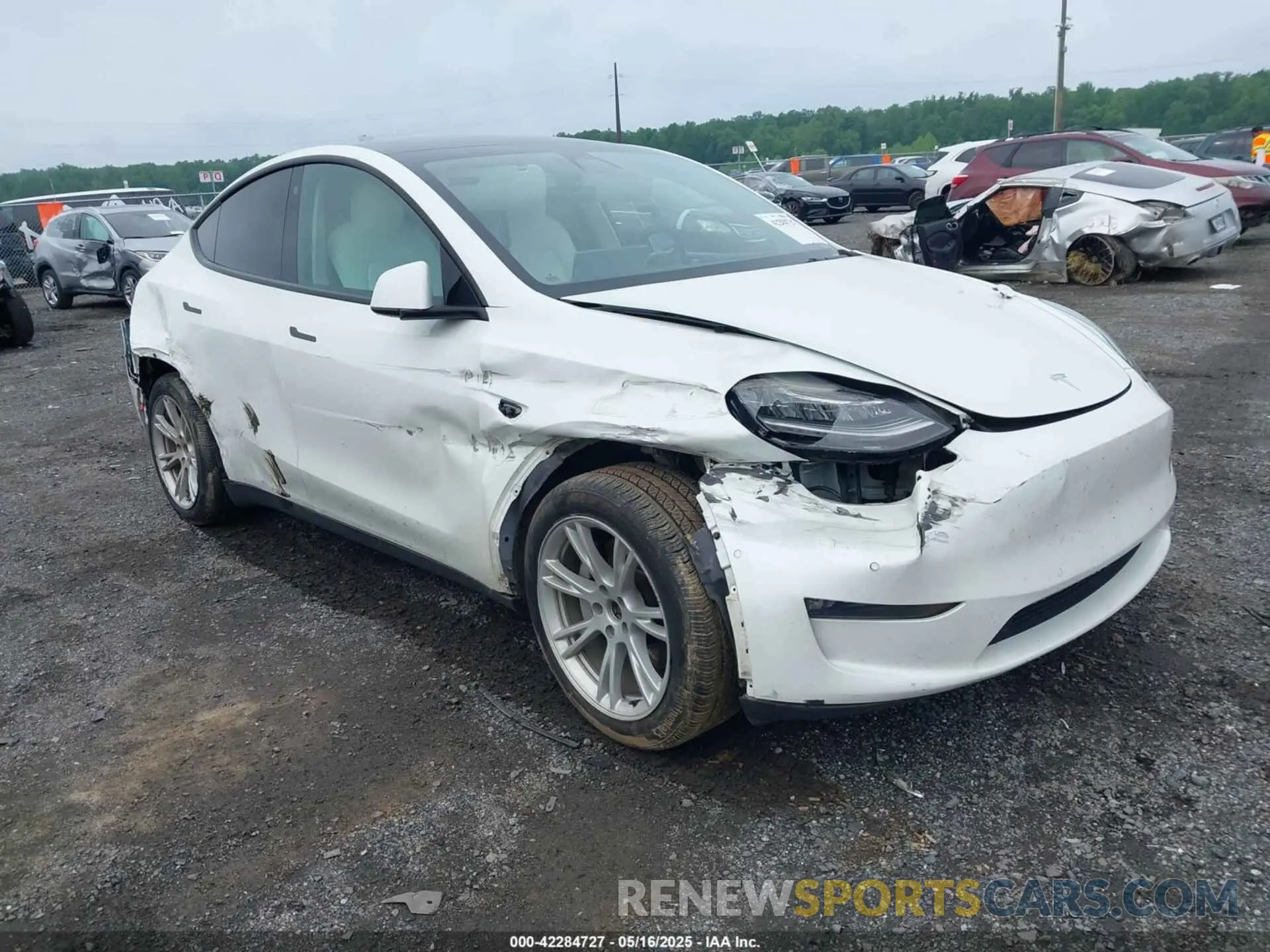 1 Фотография поврежденного автомобиля 7SAYGDEE1NF354678 TESLA MODEL Y 2022