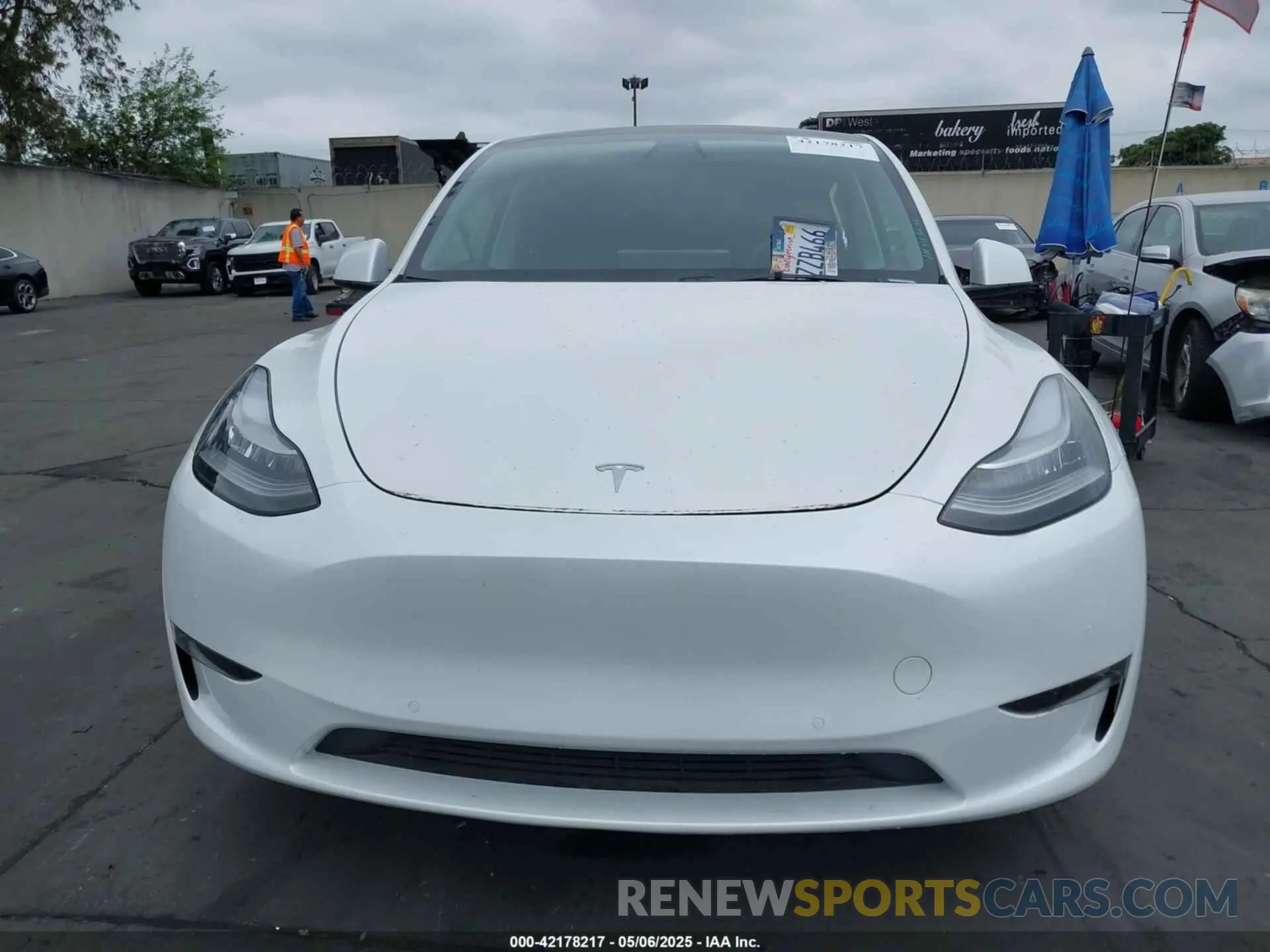 12 Фотография поврежденного автомобиля 7SAYGDEE1NF368676 TESLA MODEL Y 2022