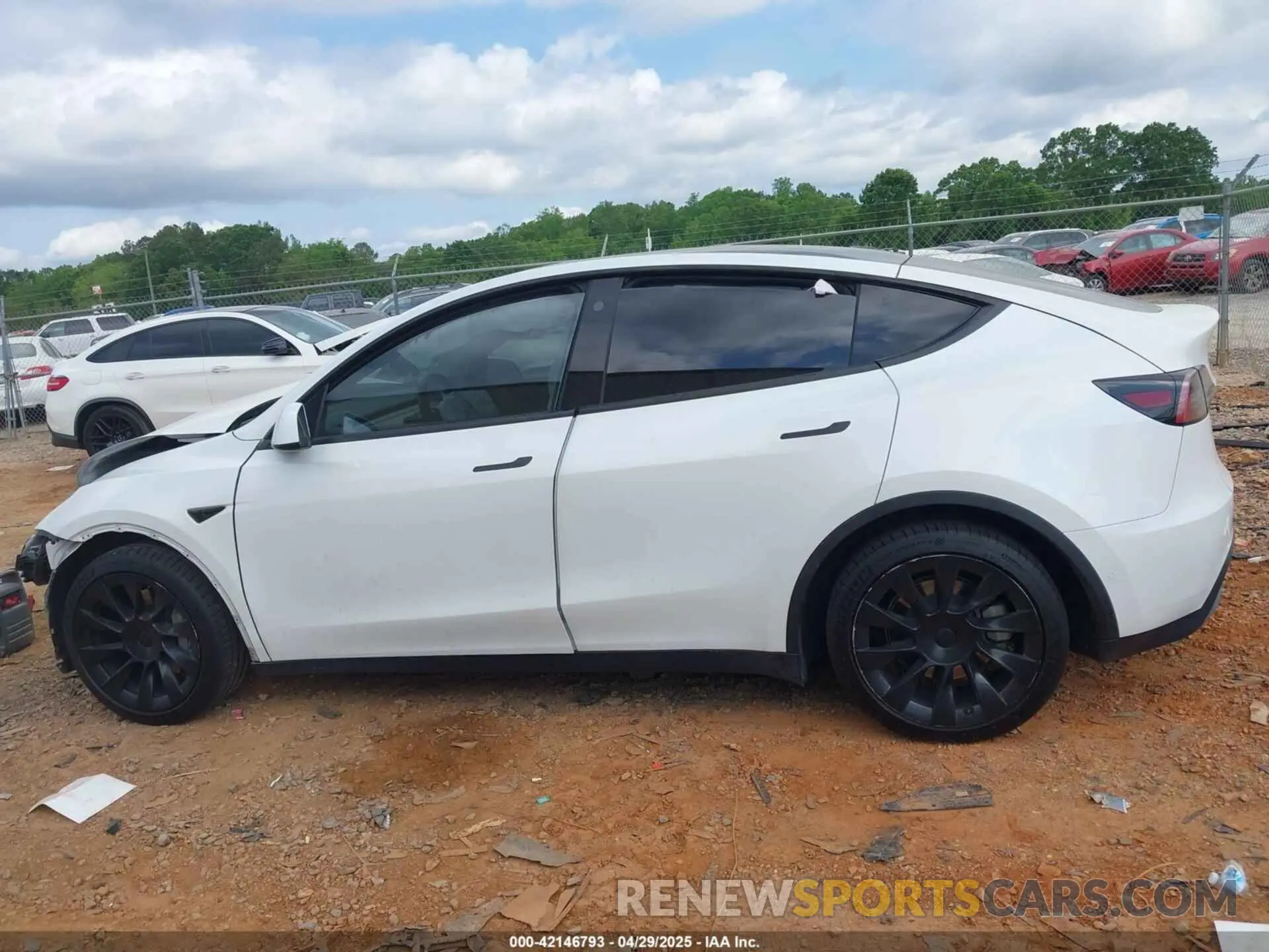 13 Photograph of a damaged car 7SAYGDEE2NF385910 TESLA MODEL Y 2022