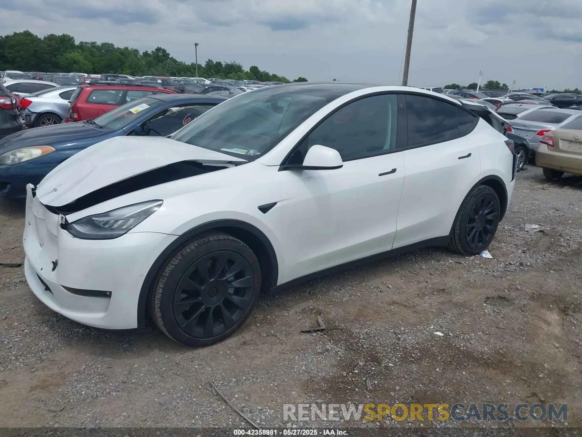 2 Фотография поврежденного автомобиля 7SAYGDEE3NF315963 TESLA MODEL Y 2022