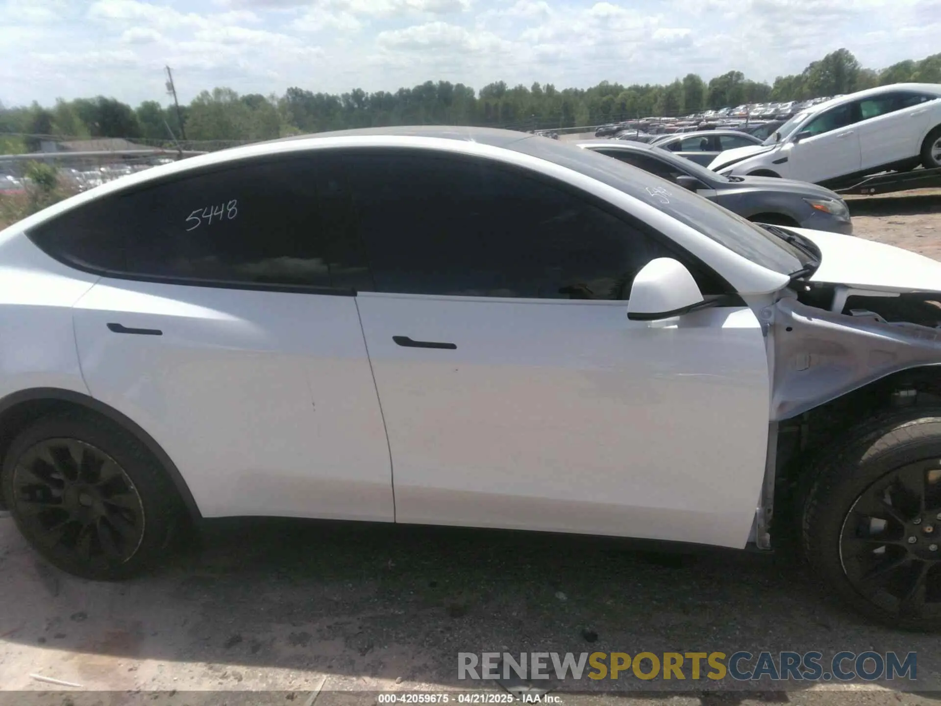 12 Photograph of a damaged car 7SAYGDEE3NF385933 TESLA MODEL Y 2022