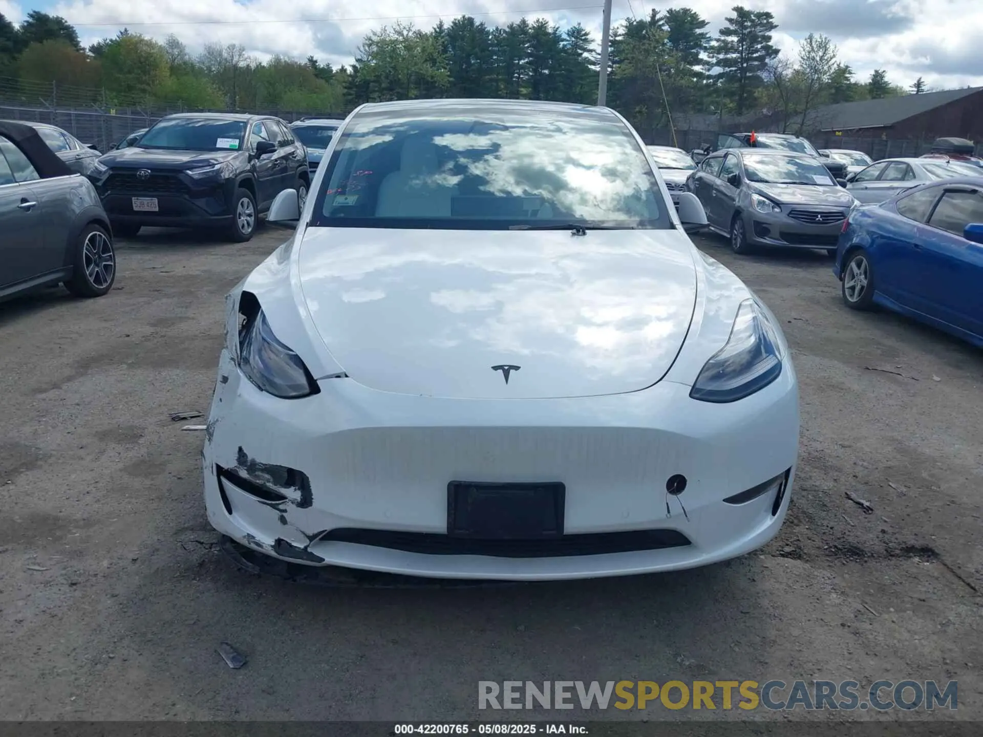 12 Photograph of a damaged car 7SAYGDEE3NF533773 TESLA MODEL Y 2022