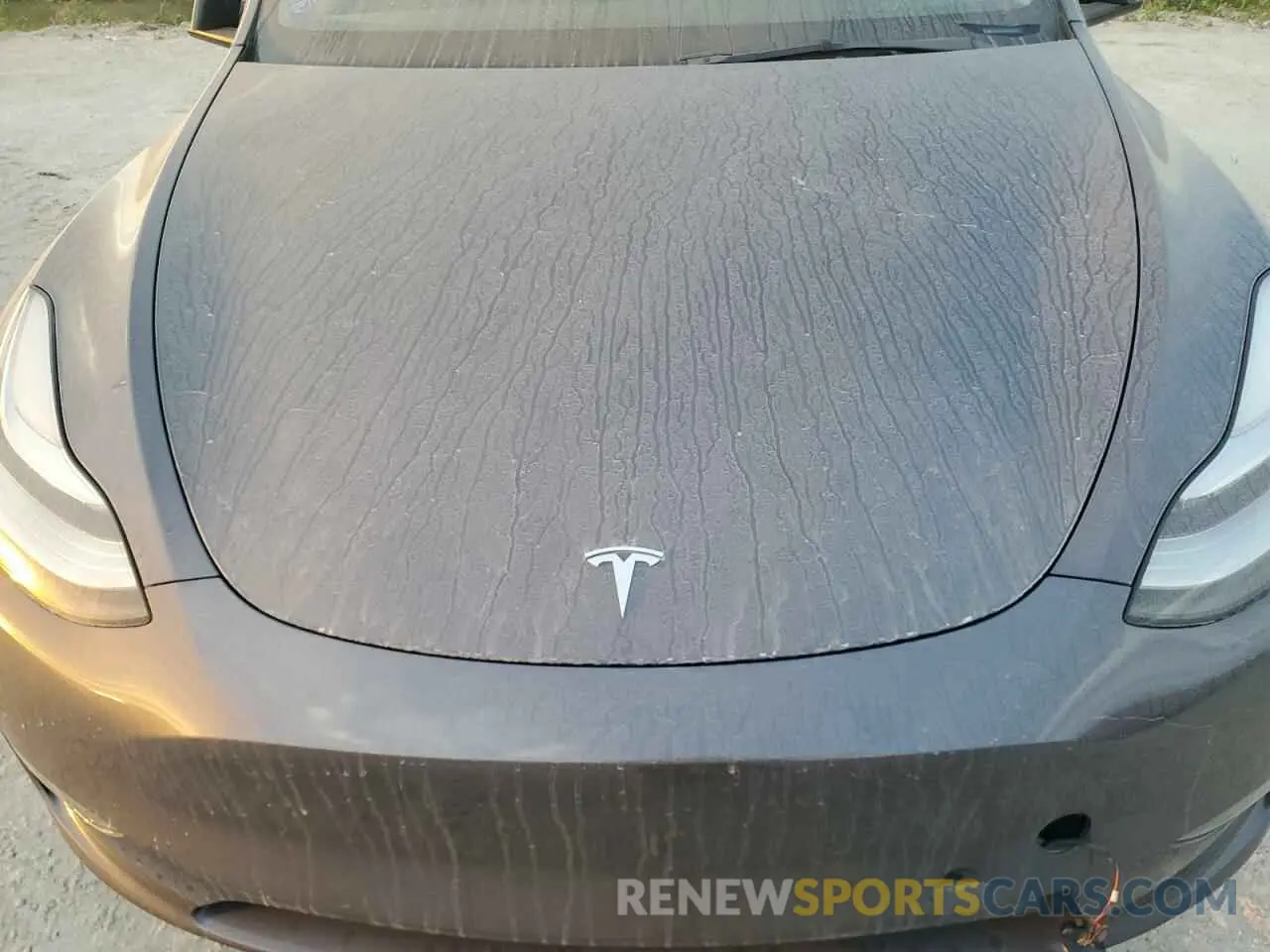 11 Photograph of a damaged car 7SAYGDEE4NA008315 TESLA MODEL Y 2022