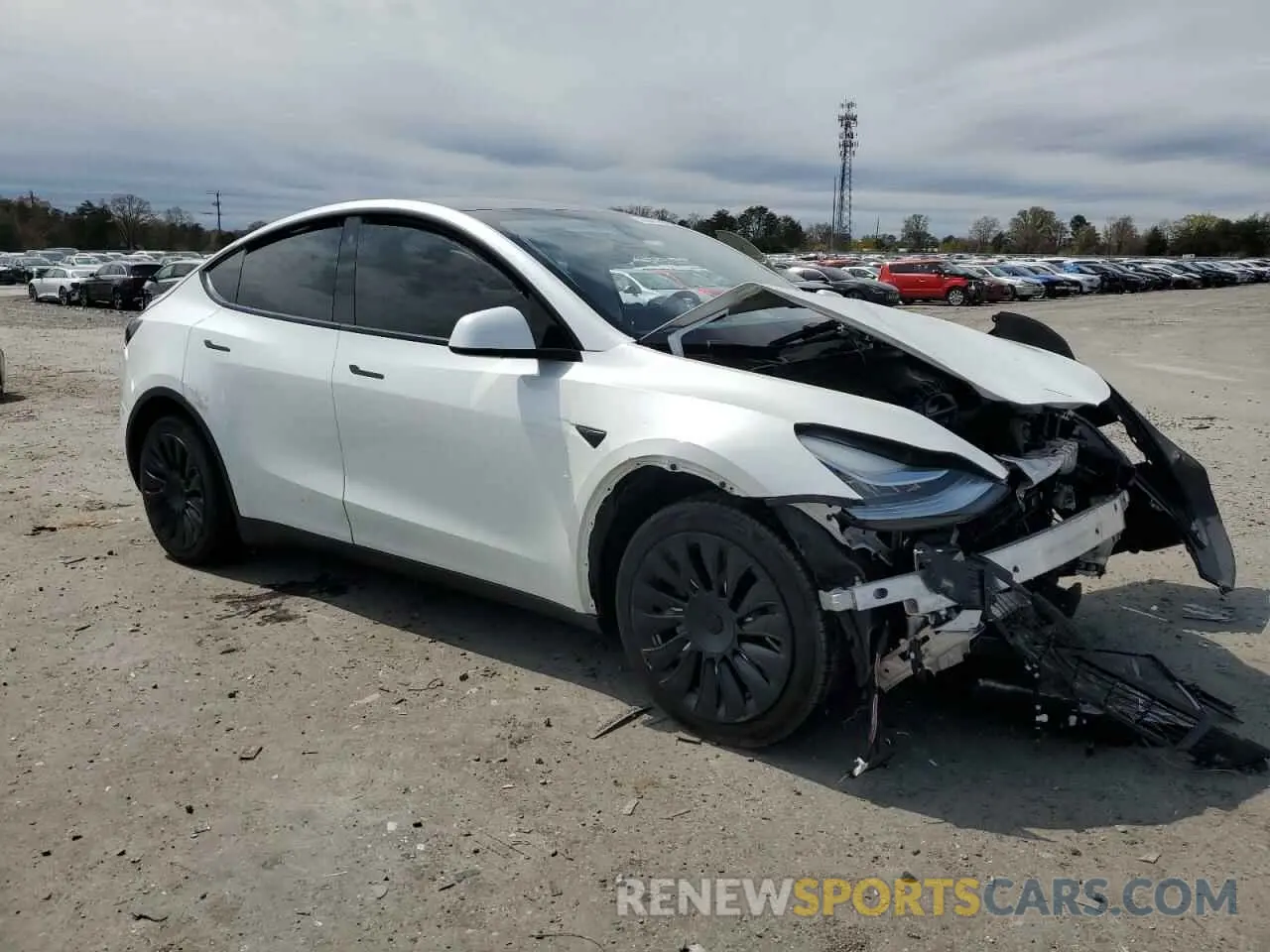 4 Photograph of a damaged car 7SAYGDEE4NF331881 TESLA MODEL Y 2022