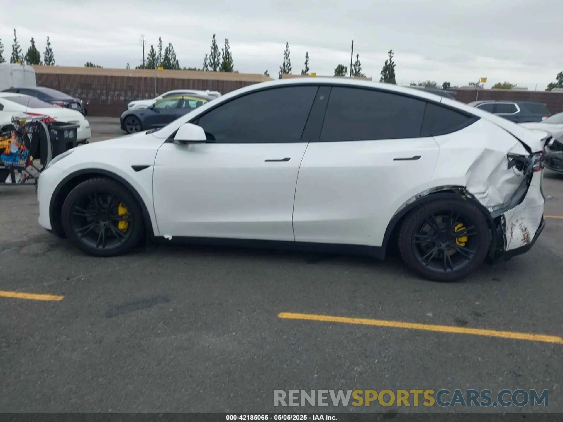 14 Фотография поврежденного автомобиля 7SAYGDEE4NF407891 TESLA MODEL Y 2022