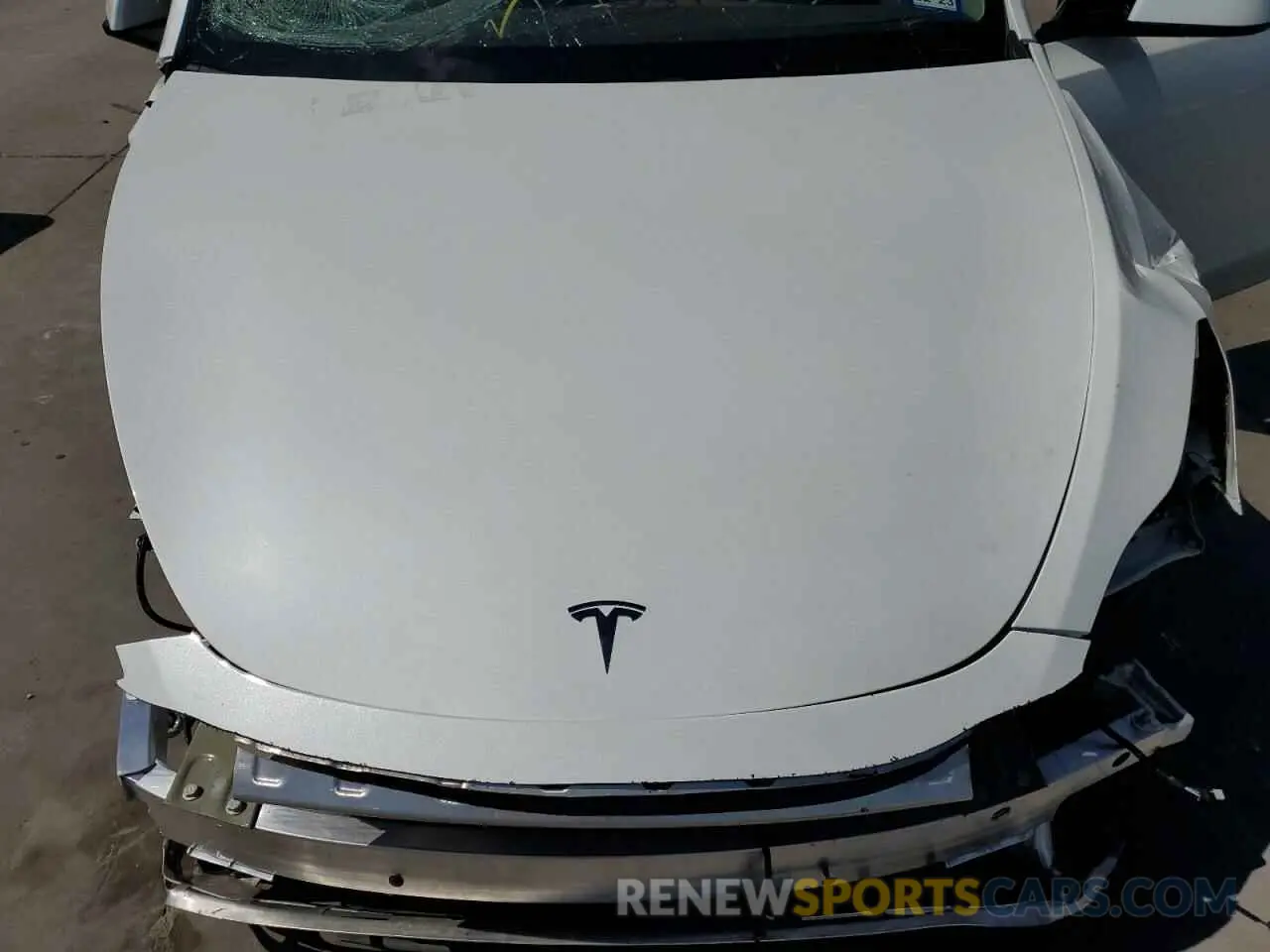 7 Photograph of a damaged car 7SAYGDEE5NF373394 TESLA MODEL Y 2022