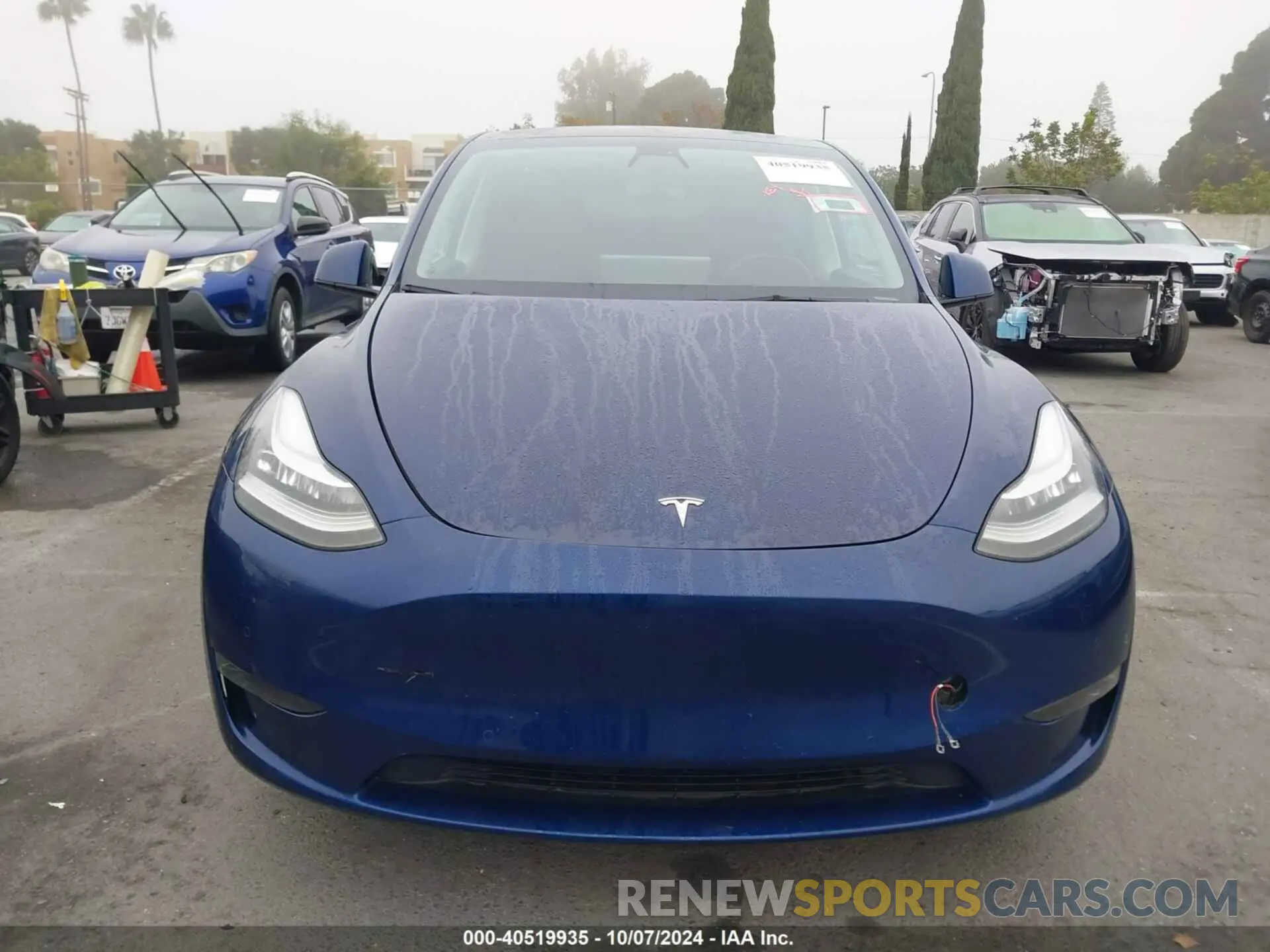 12 Photograph of a damaged car 7SAYGDEE5NF459045 TESLA MODEL Y 2022