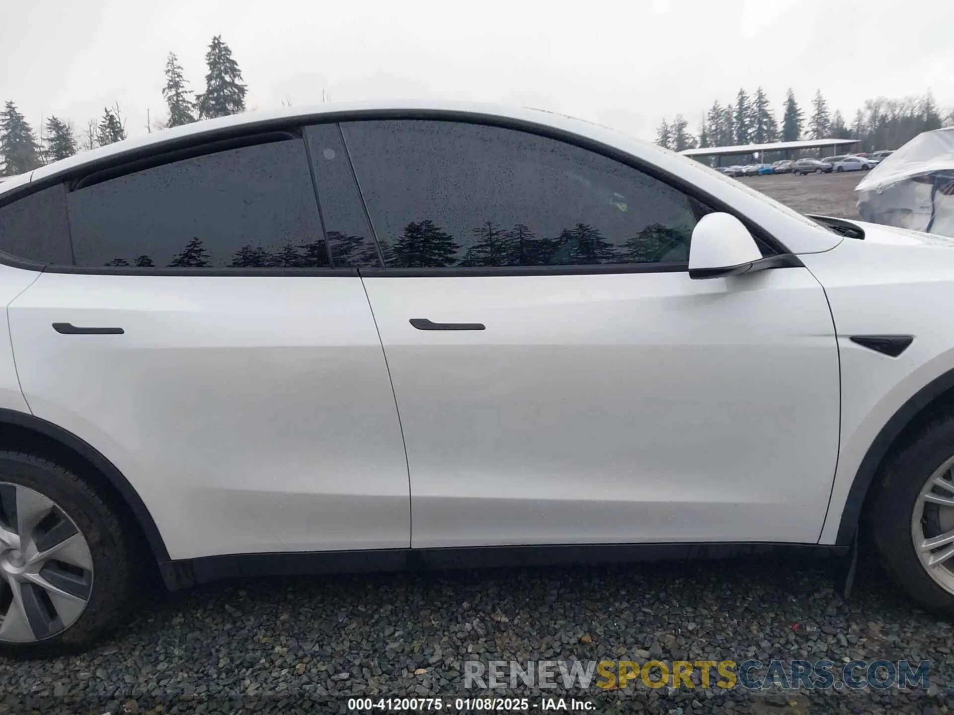 14 Photograph of a damaged car 7SAYGDEE6NF451259 TESLA MODEL Y 2022