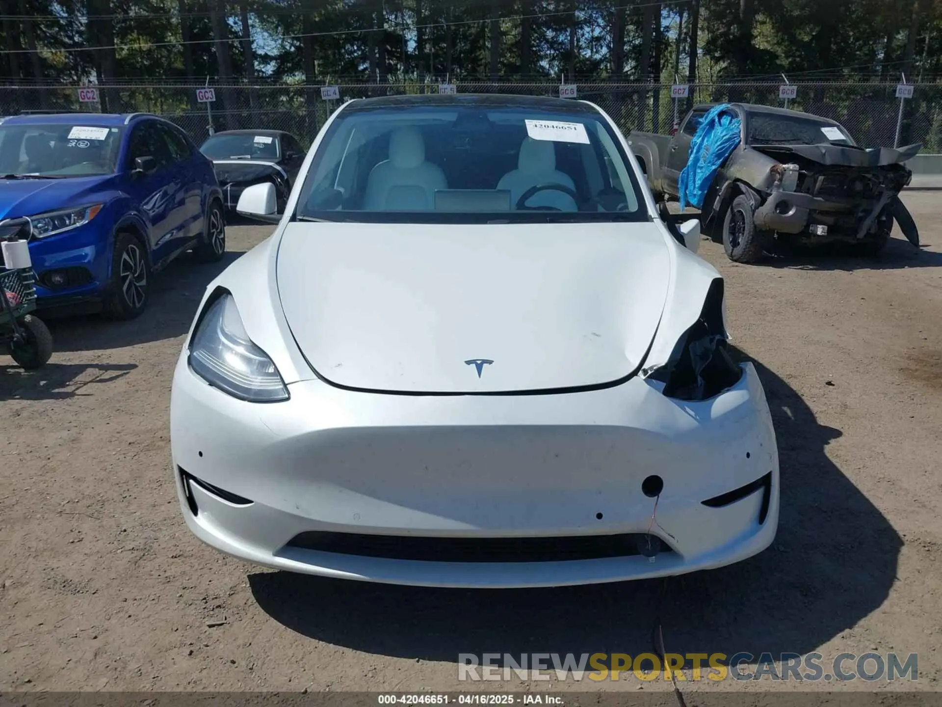 12 Фотография поврежденного автомобиля 7SAYGDEE7NF418223 TESLA MODEL Y 2022