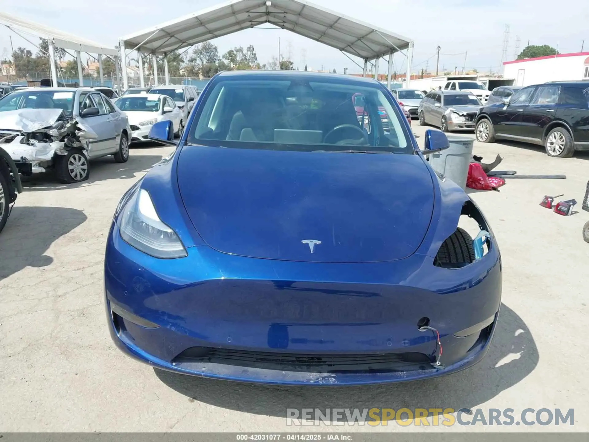 12 Photograph of a damaged car 7SAYGDEF1NF538544 TESLA MODEL Y 2022