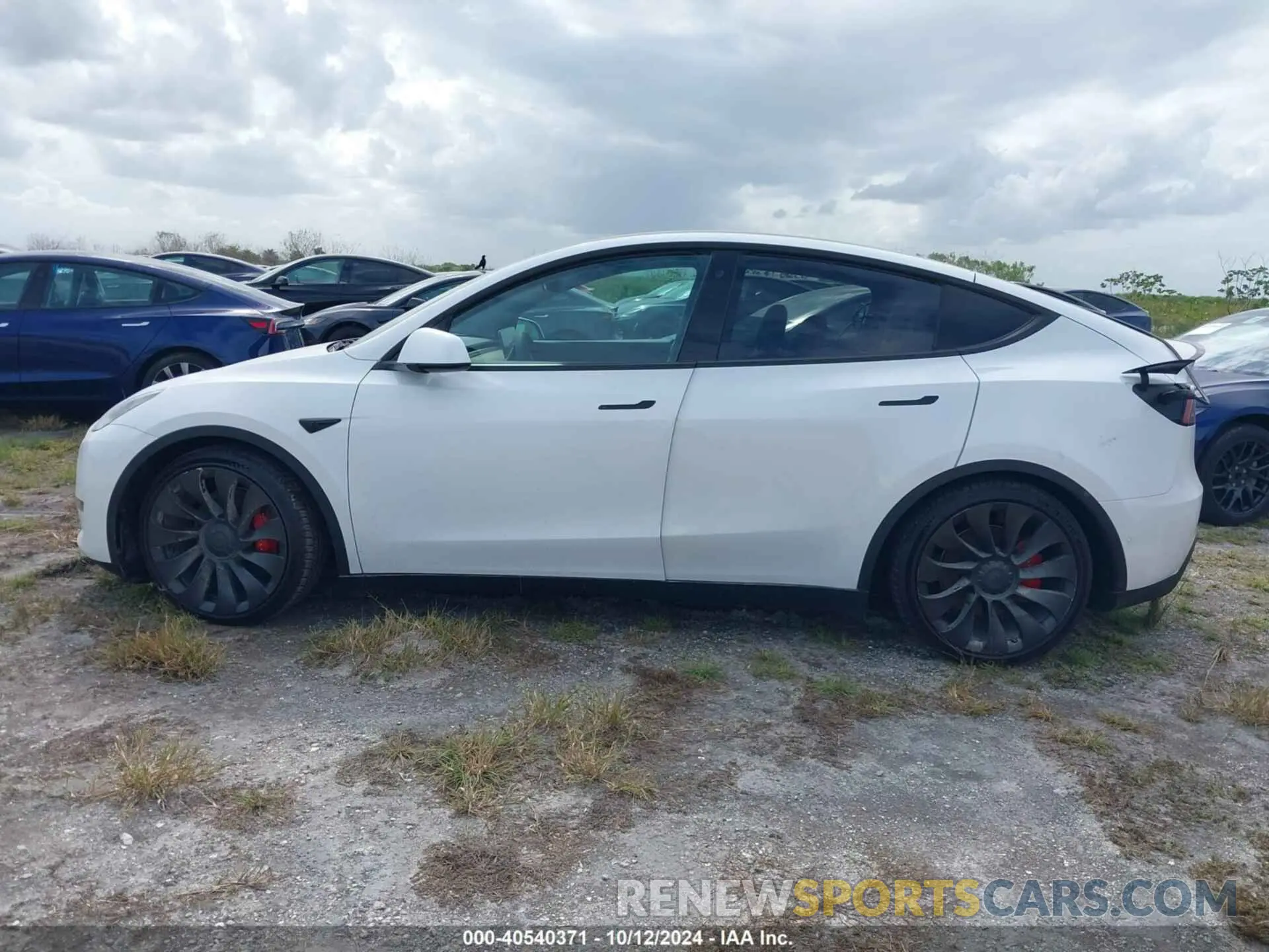 13 Фотография поврежденного автомобиля 7SAYGDEF2NF327711 TESLA MODEL Y 2022