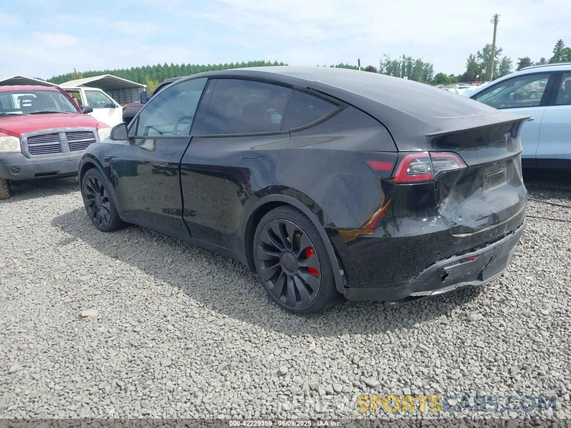 3 Photograph of a damaged car 7SAYGDEF5NF546680 TESLA MODEL Y 2022