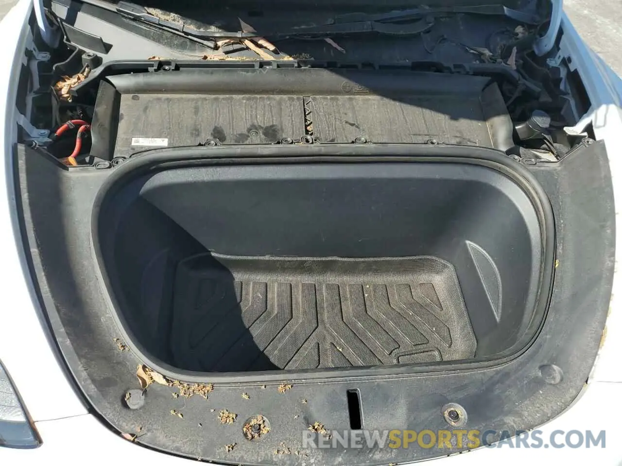 13 Photograph of a damaged car 7SAYGDEF7NF552867 TESLA MODEL Y 2022