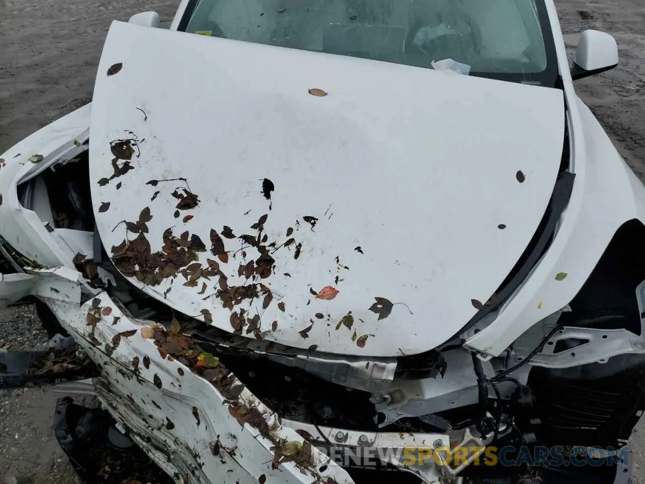 12 Photograph of a damaged car 7SAYGDEF9NF523483 TESLA MODEL Y 2022
