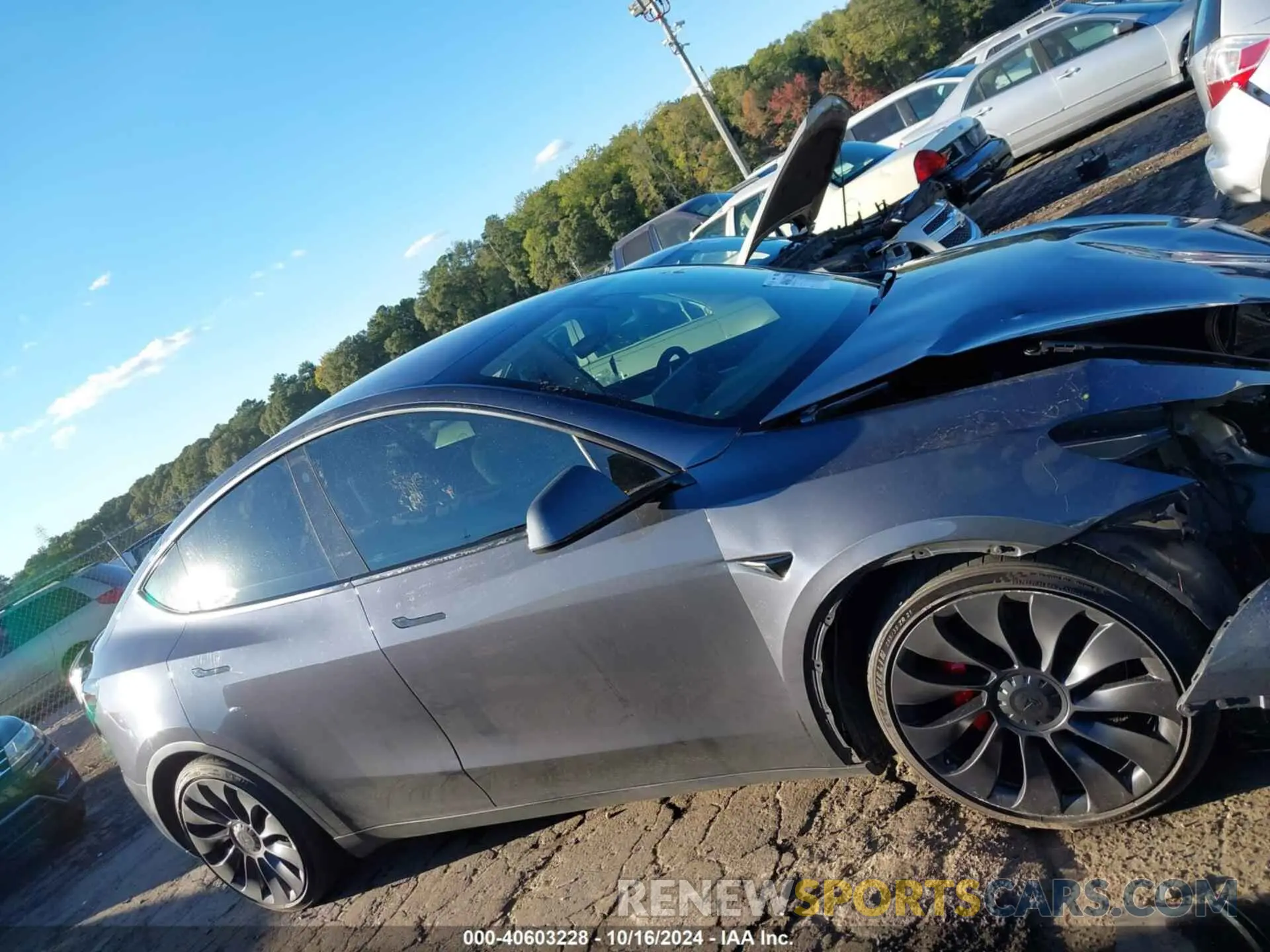 12 Photograph of a damaged car 7SAYGDEFXNF366319 TESLA MODEL Y 2022