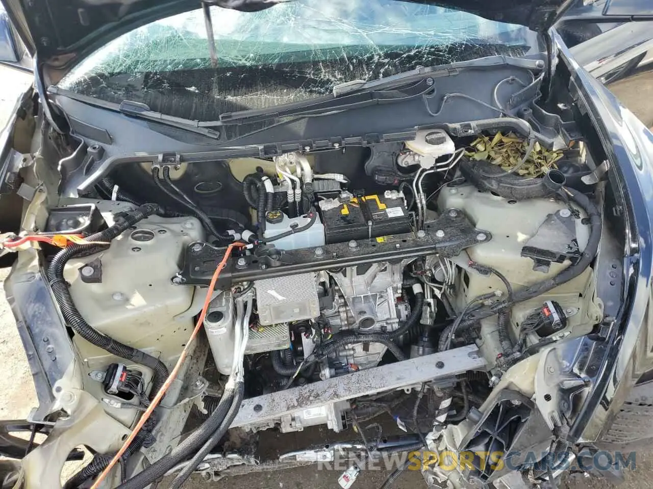 11 Photograph of a damaged car 7SAYGDEFXNF377613 TESLA MODEL Y 2022