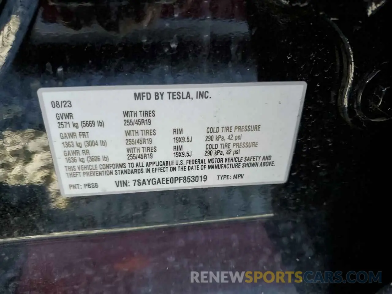 13 Photograph of a damaged car 7SAYGAEE0PF853019 TESLA MODEL Y 2023