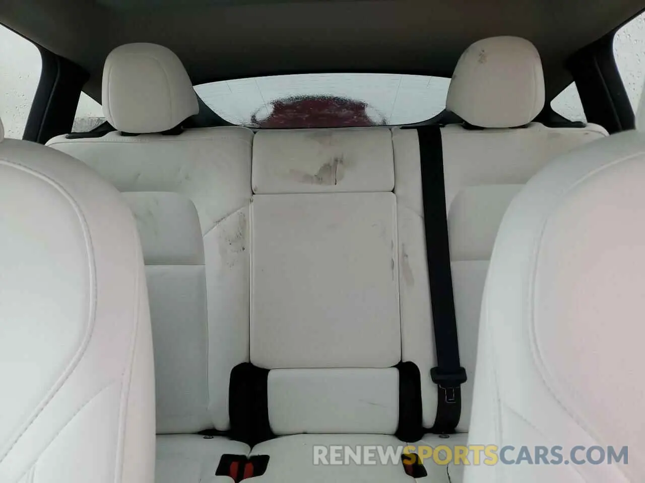 10 Photograph of a damaged car 7SAYGAEE0PF890667 TESLA MODEL Y 2023