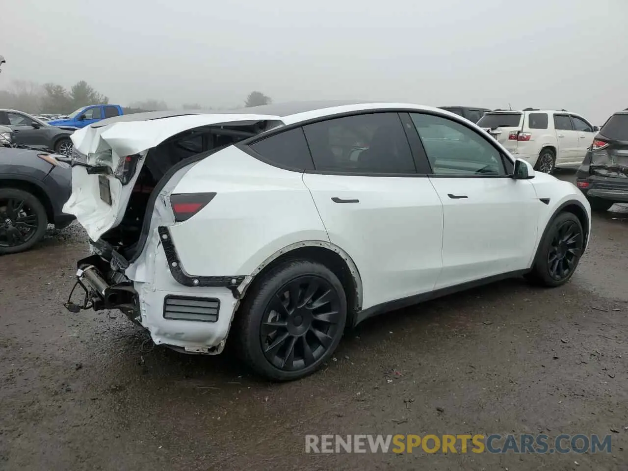 3 Photograph of a damaged car 7SAYGAEE1PF673984 TESLA MODEL Y 2023
