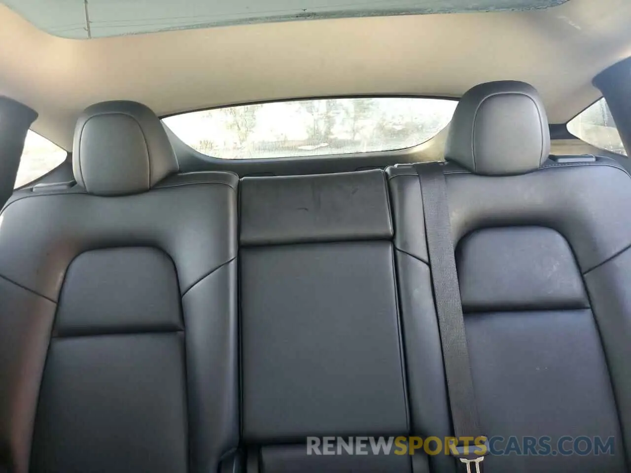 10 Photograph of a damaged car 7SAYGAEE3PF610563 TESLA MODEL Y 2023