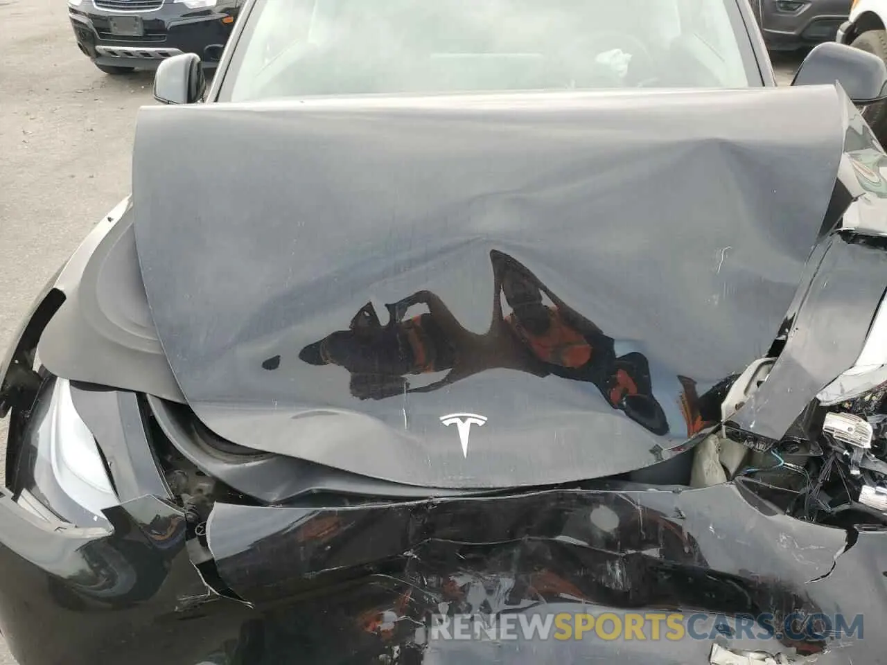 12 Photograph of a damaged car 7SAYGAEE4PF833159 TESLA MODEL Y 2023