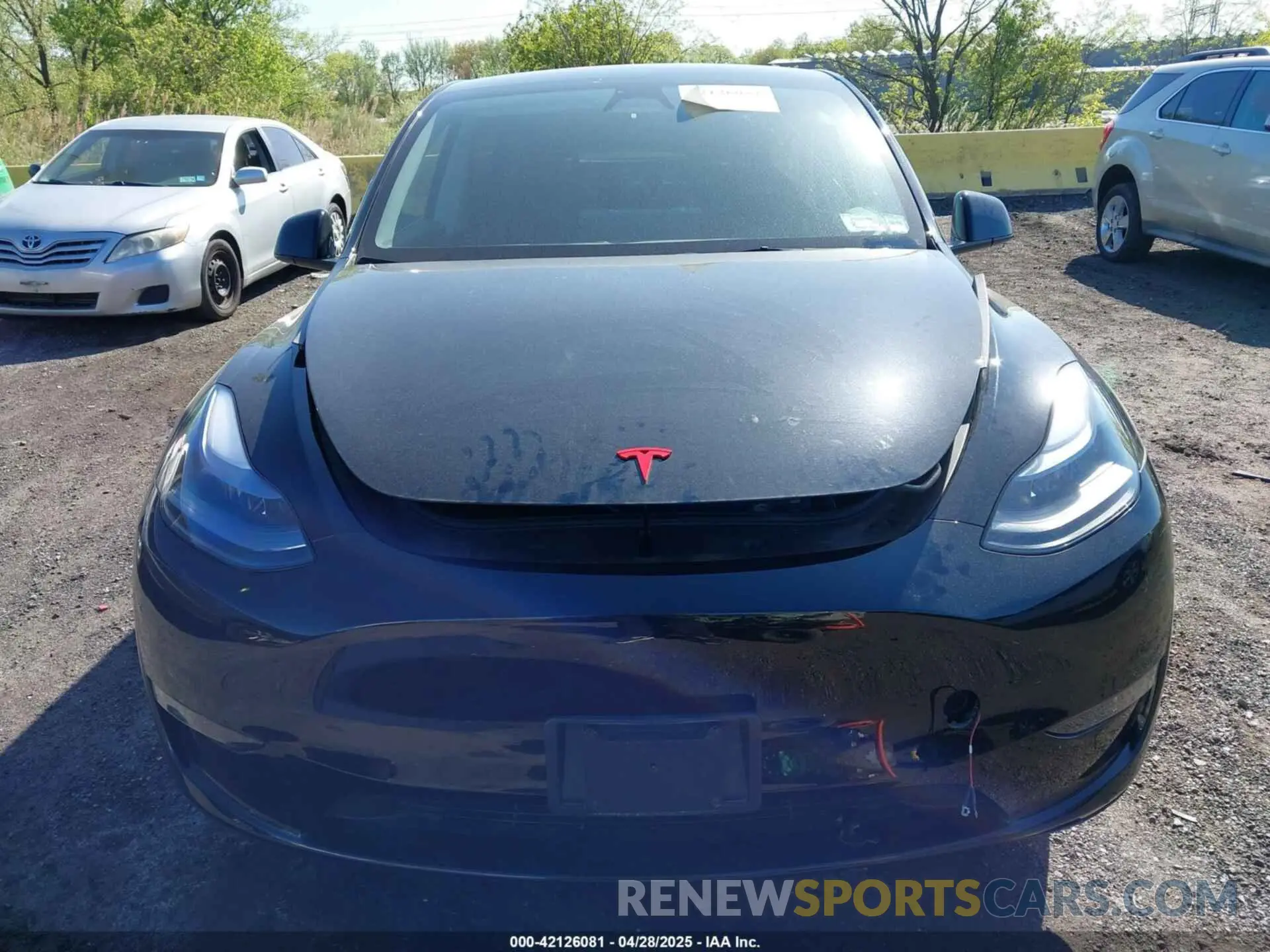 12 Photograph of a damaged car 7SAYGAEE4PF928739 TESLA MODEL Y 2023