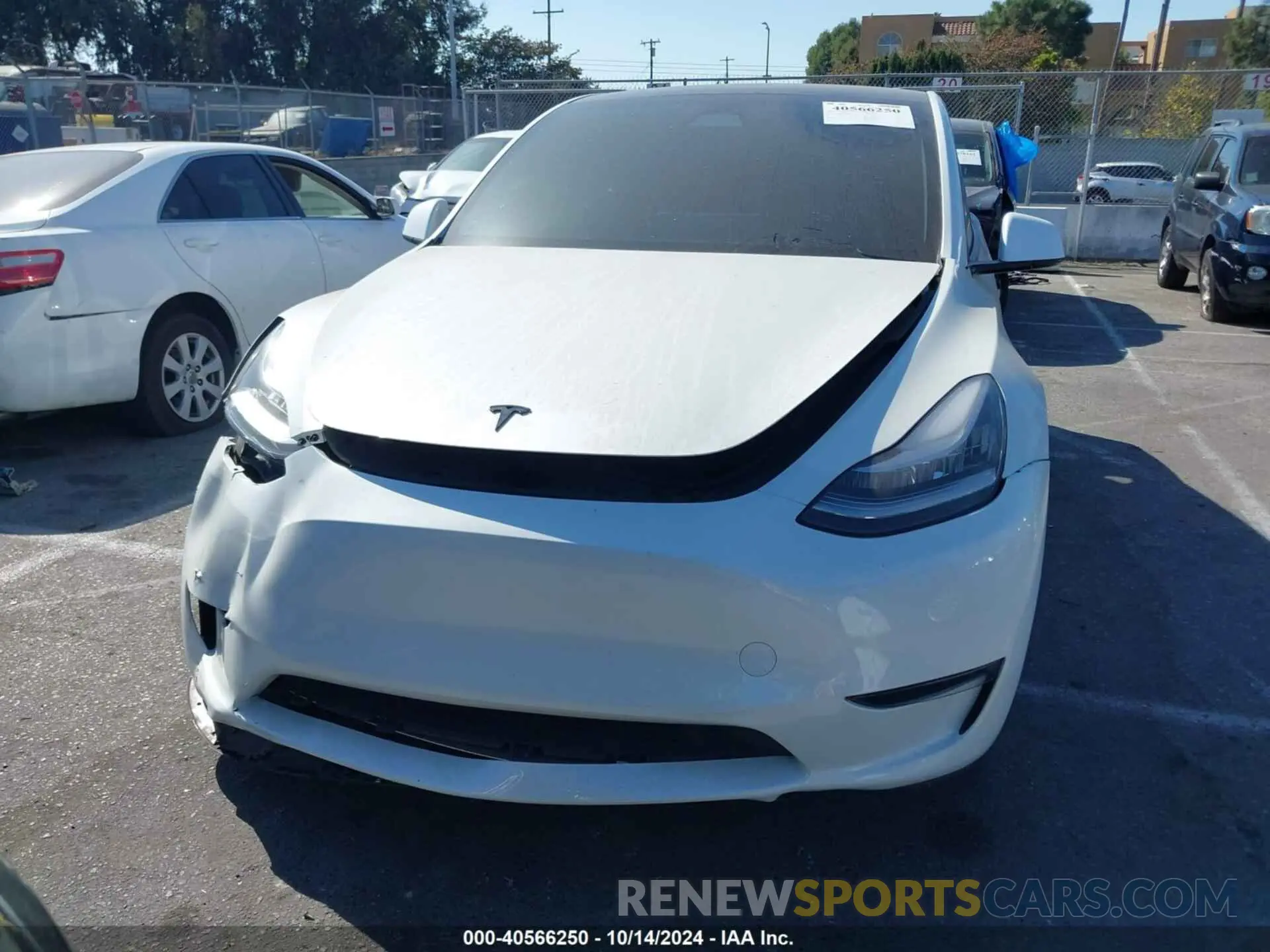 12 Фотография поврежденного автомобиля 7SAYGAEE6PF611528 TESLA MODEL Y 2023